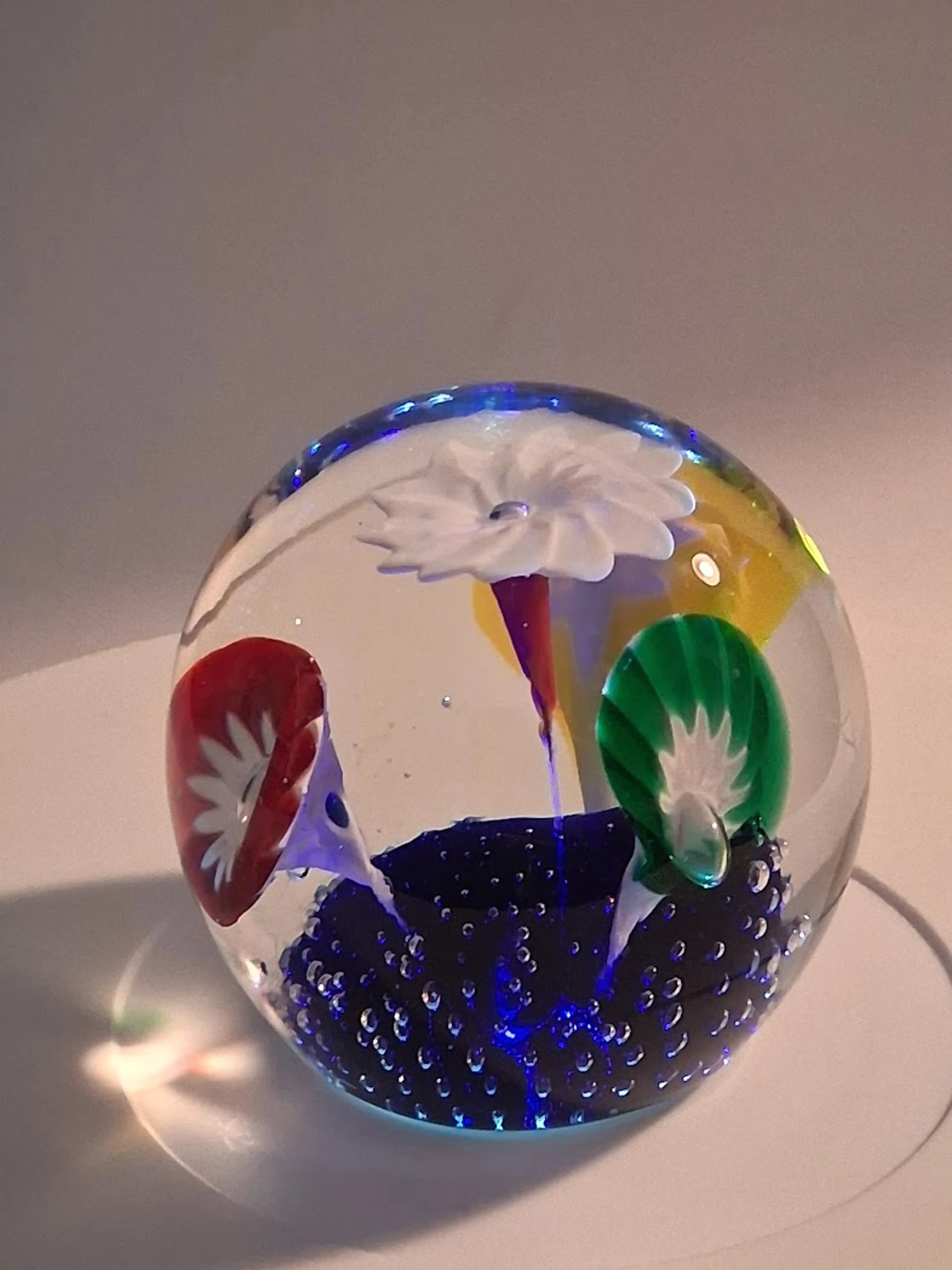 Image 3 of 6