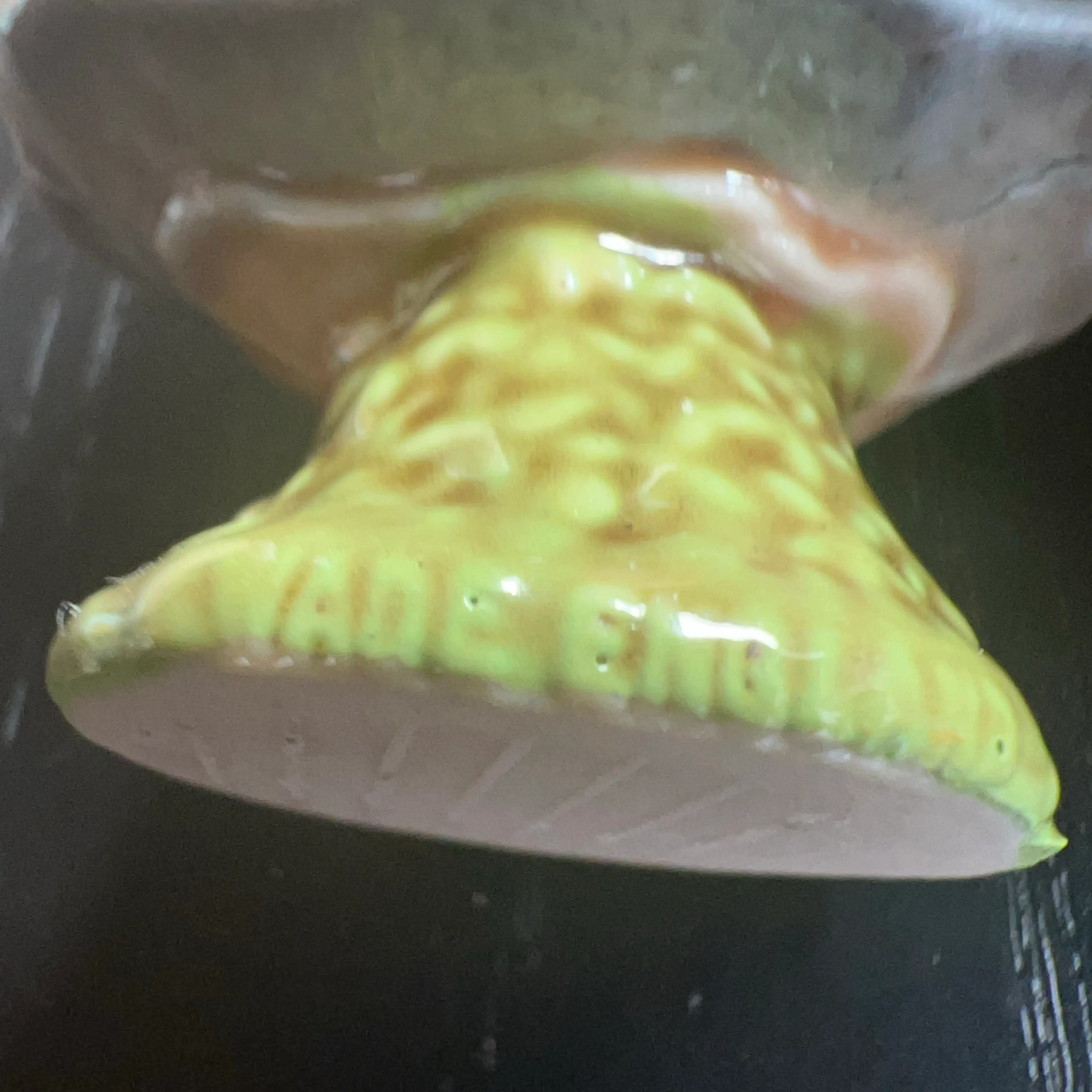 Image 5 of 8