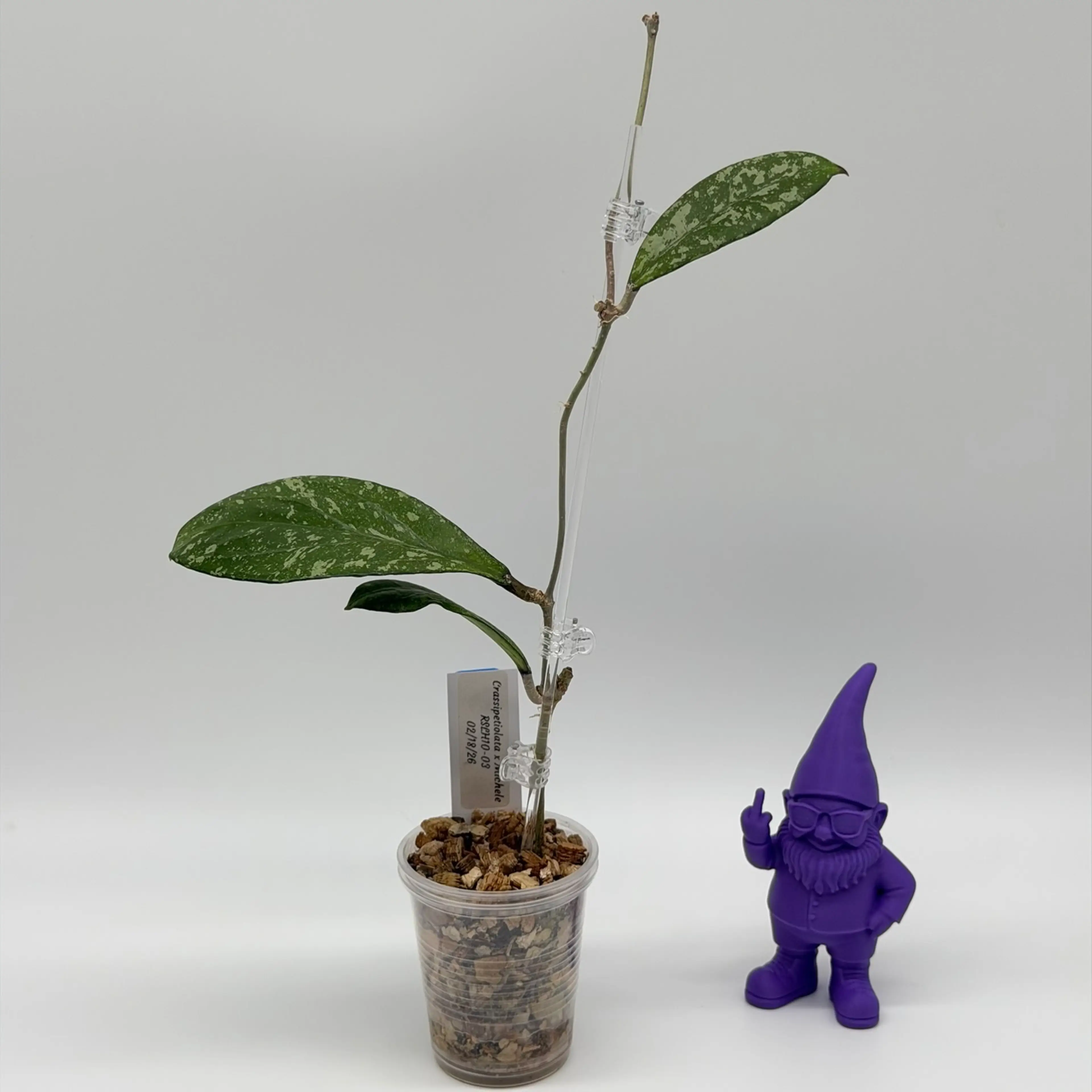 Image 1 of 3