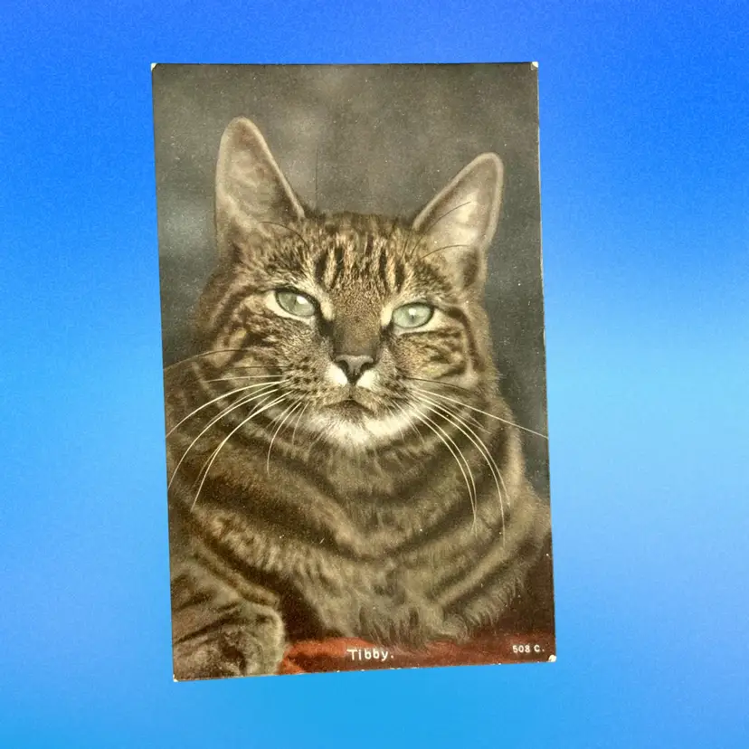 Antique Tabby Cat Green Eyes “Tibby” RPPC Rapid Photo (#508C) Germany DB Postcard, Unused