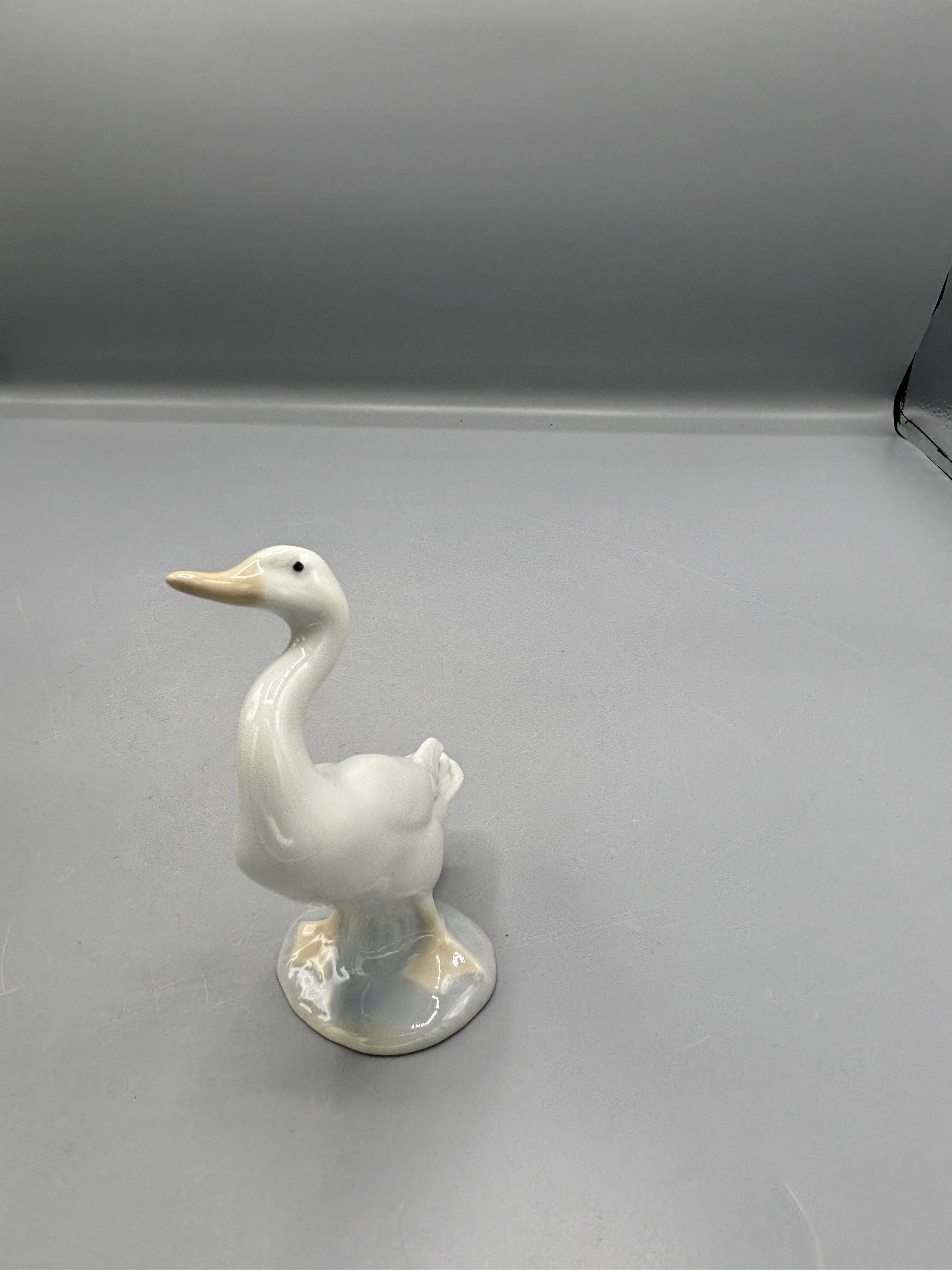 Image 3 of 5