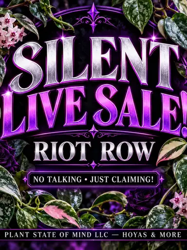 LETS DO SILENT LIVE INSTEAD This Weekend!!
