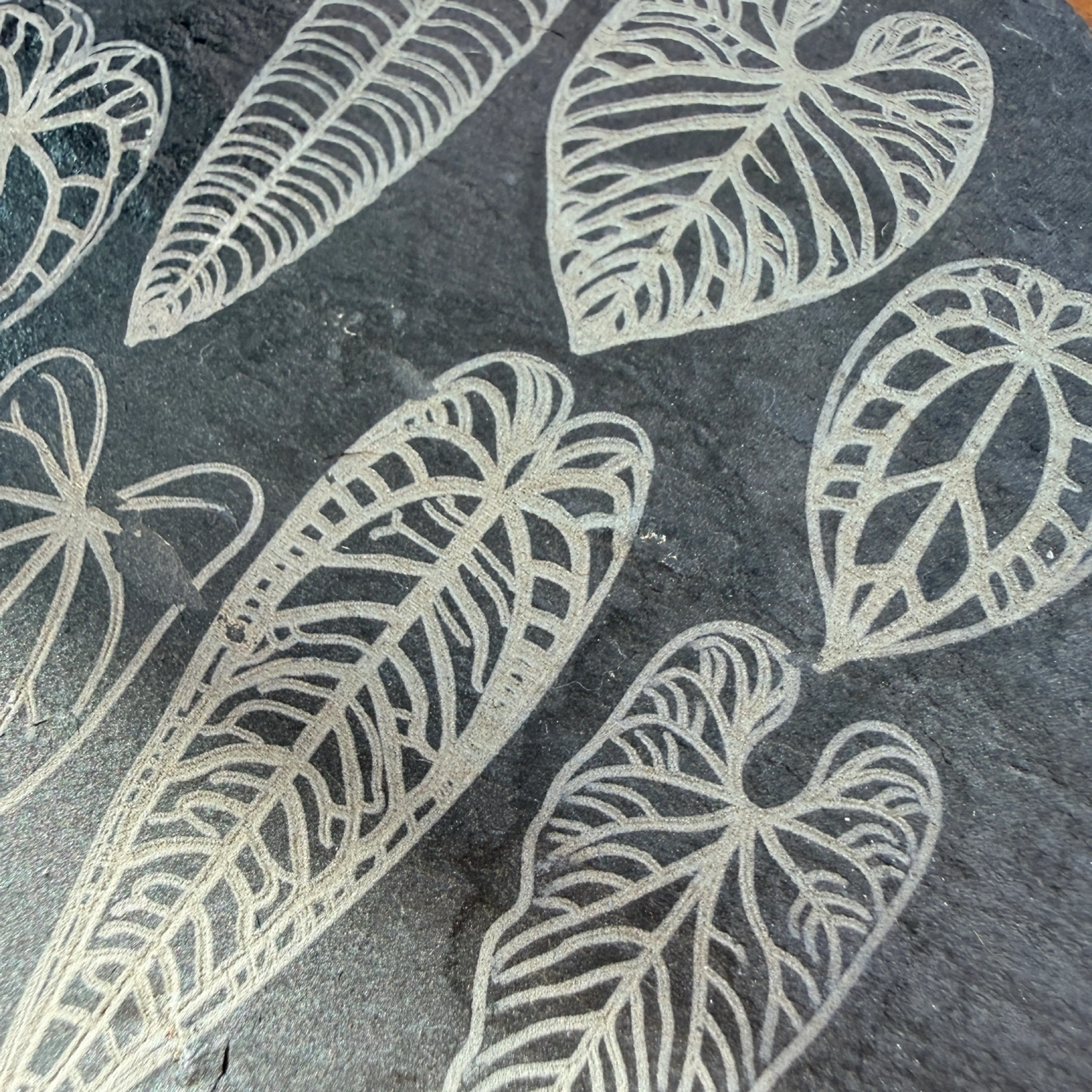 Image 4 of 5