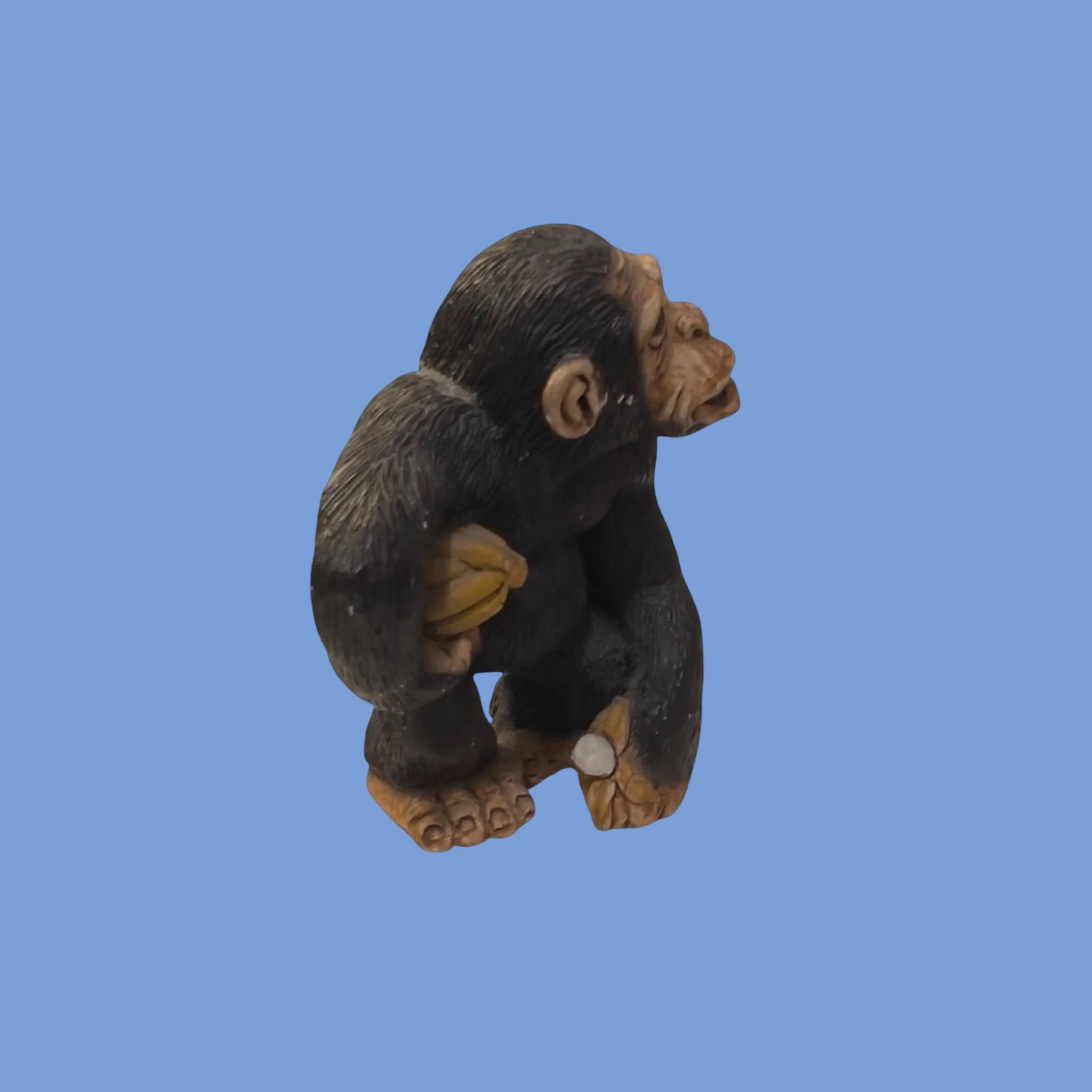 Image 2 of 10
