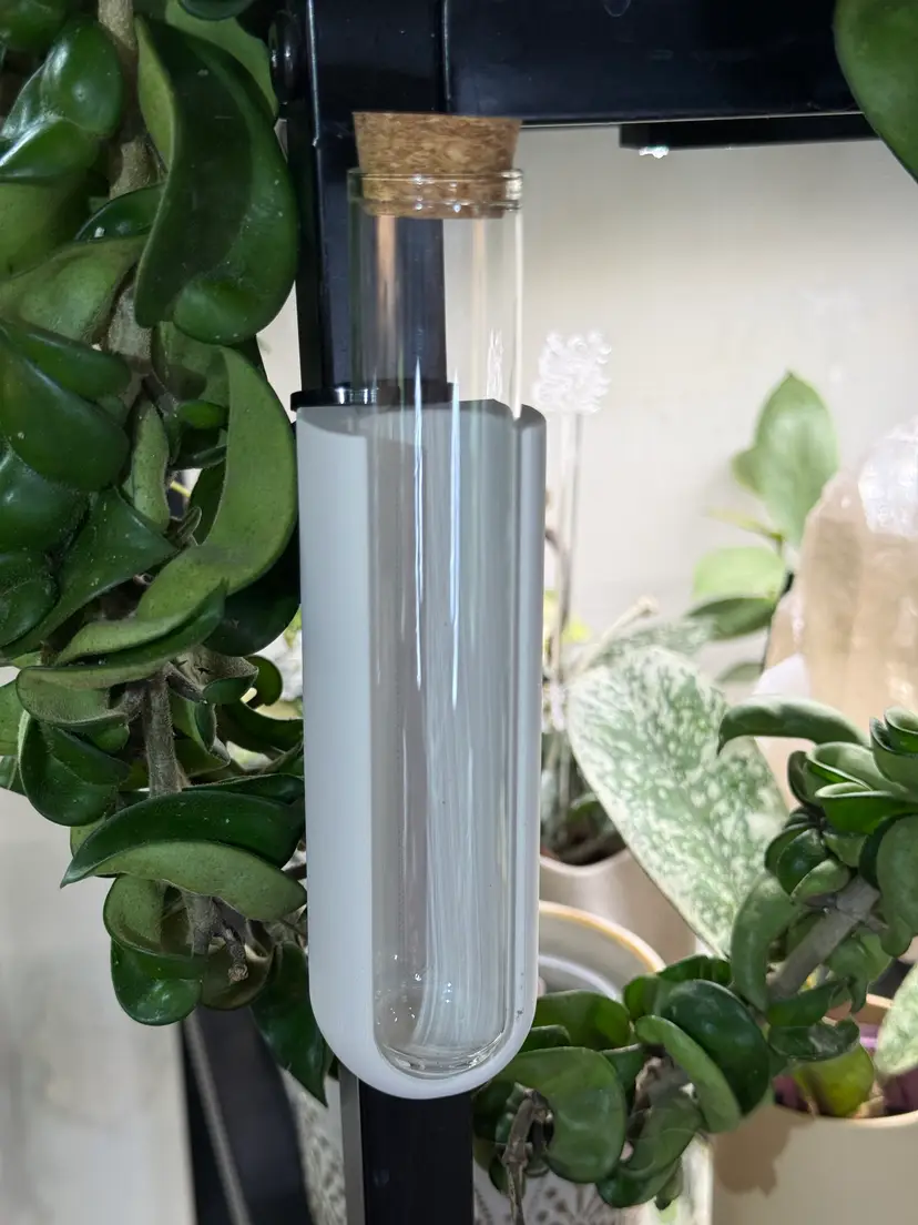 Propagation Test Tube Magnet - Bone - Includes Test Tube