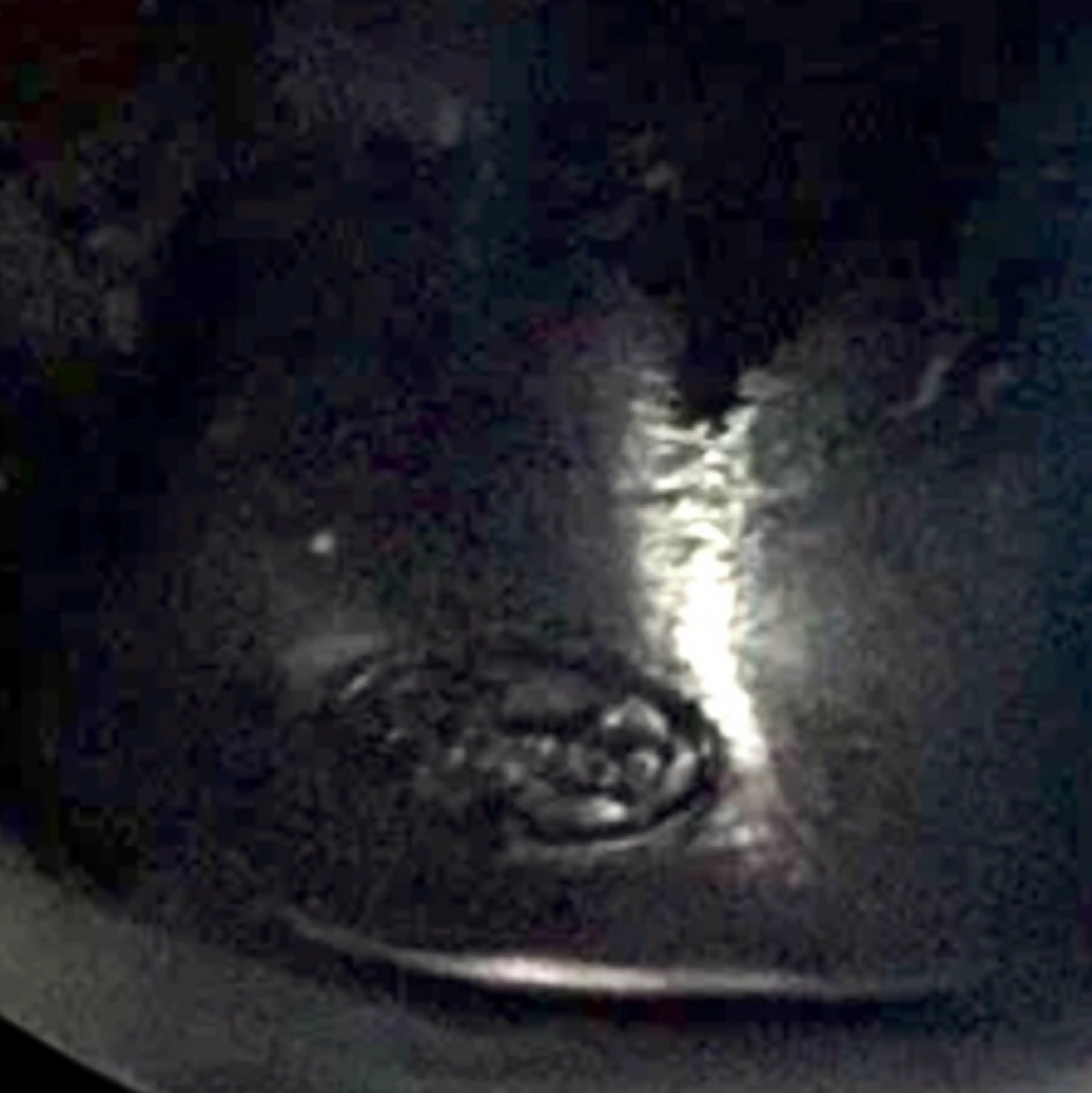 Image 4 of 5