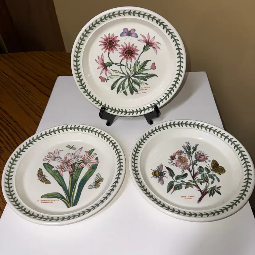 Portmeirion Botanic Garden 8 1/2" Dessert or Lunch Plate Flowers Bees Butterflie