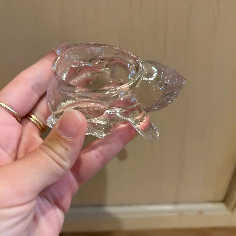 Clear Glass Frog