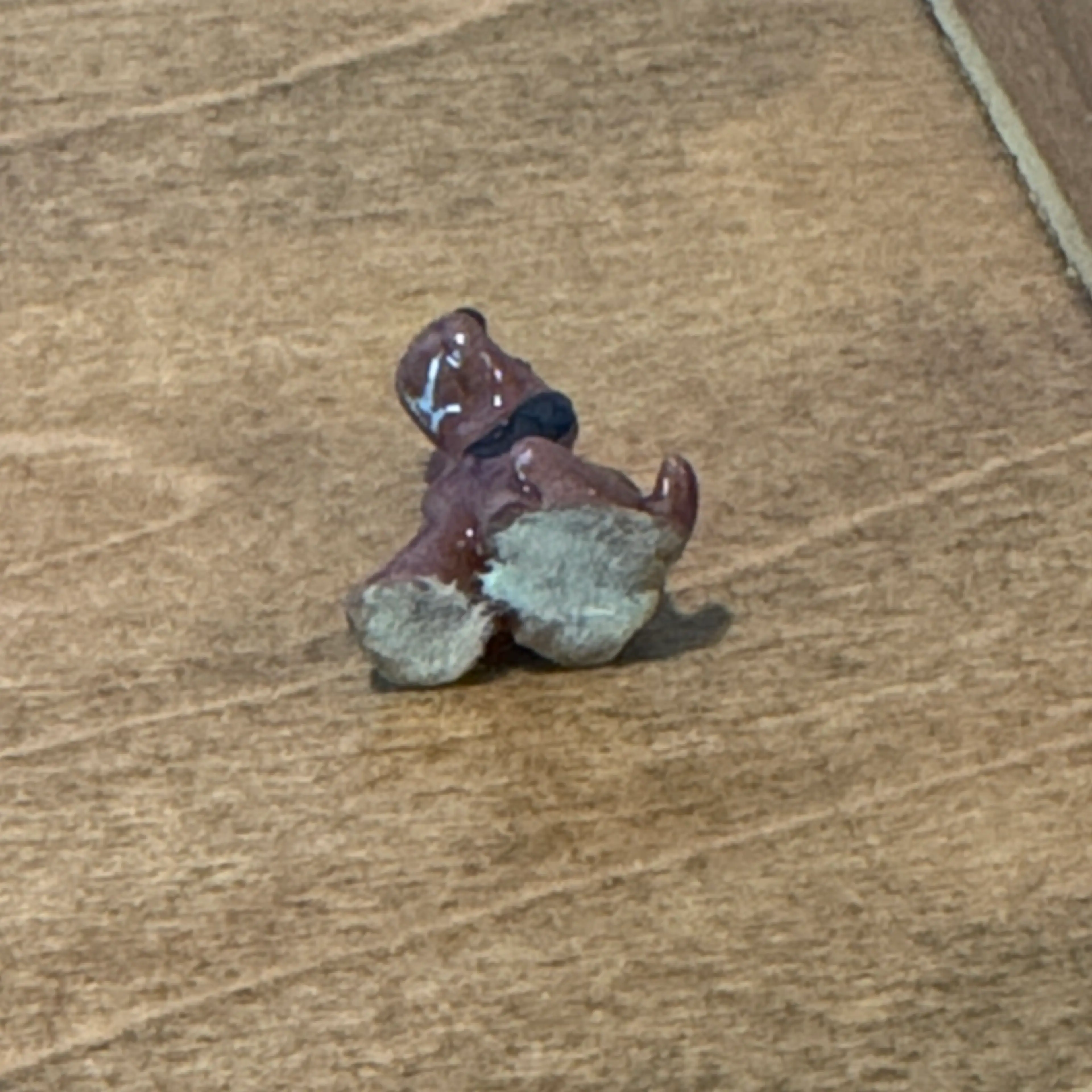 Image 5 of 5