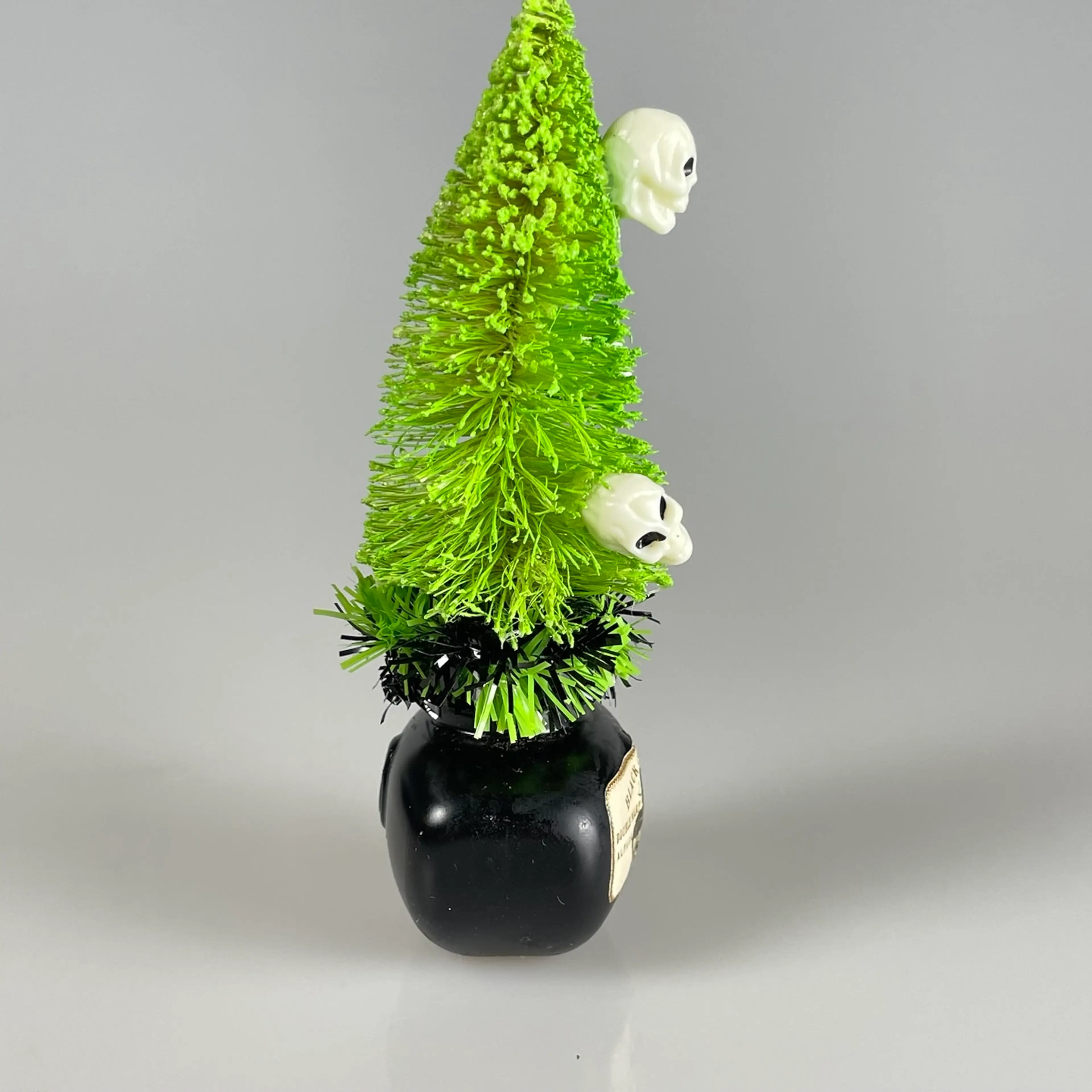 Image 5 of 6