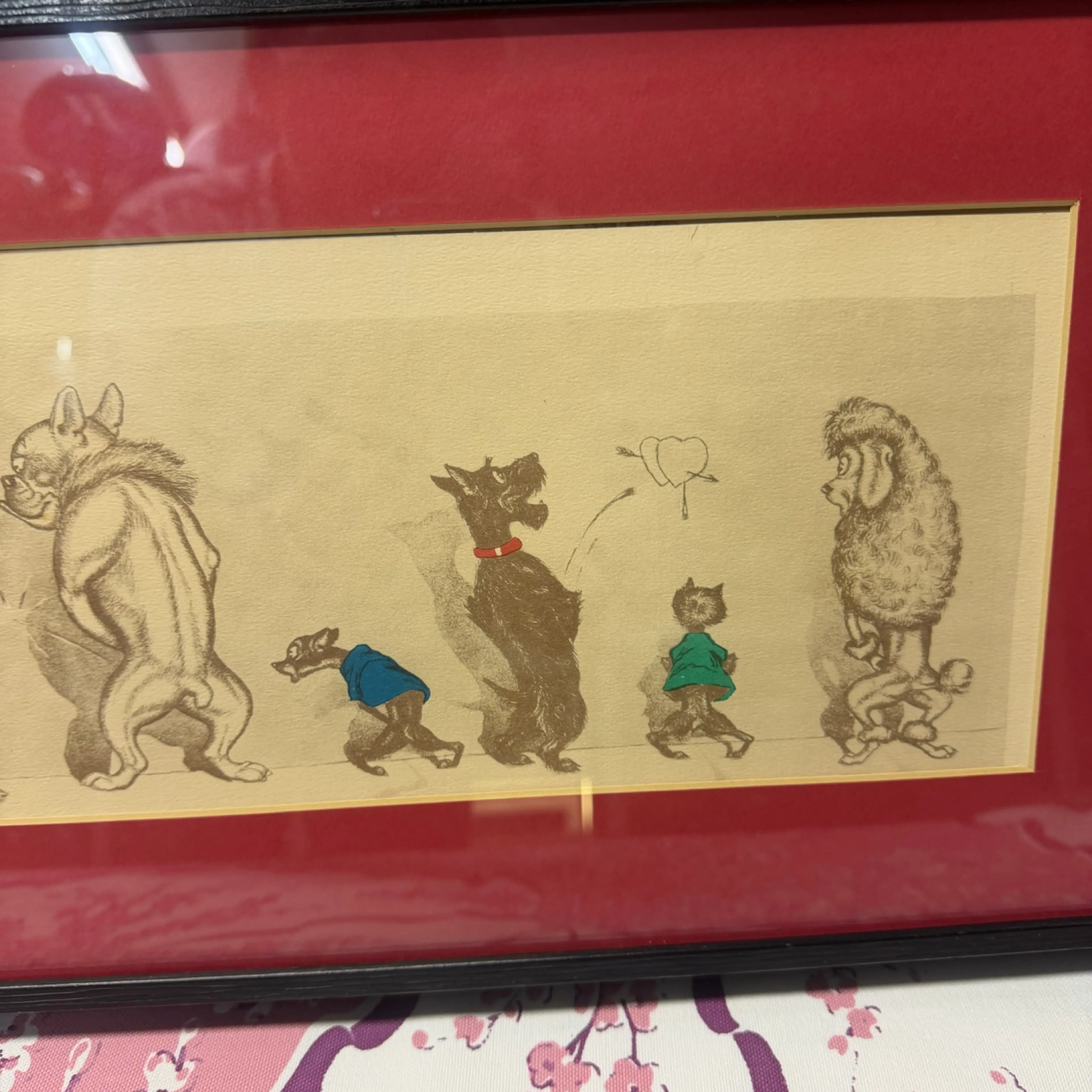 Image 4 of 10