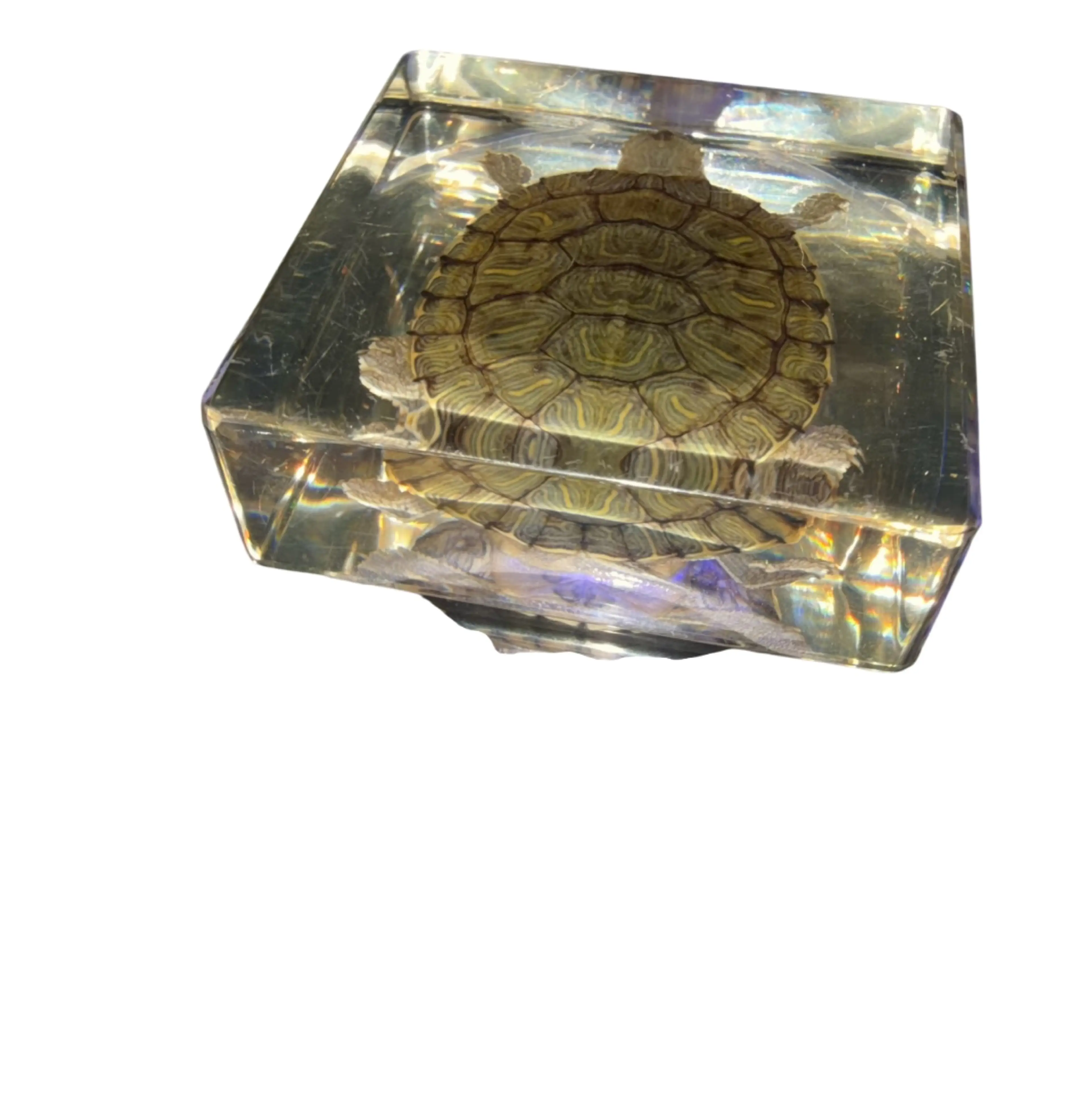 Image 5 of 8