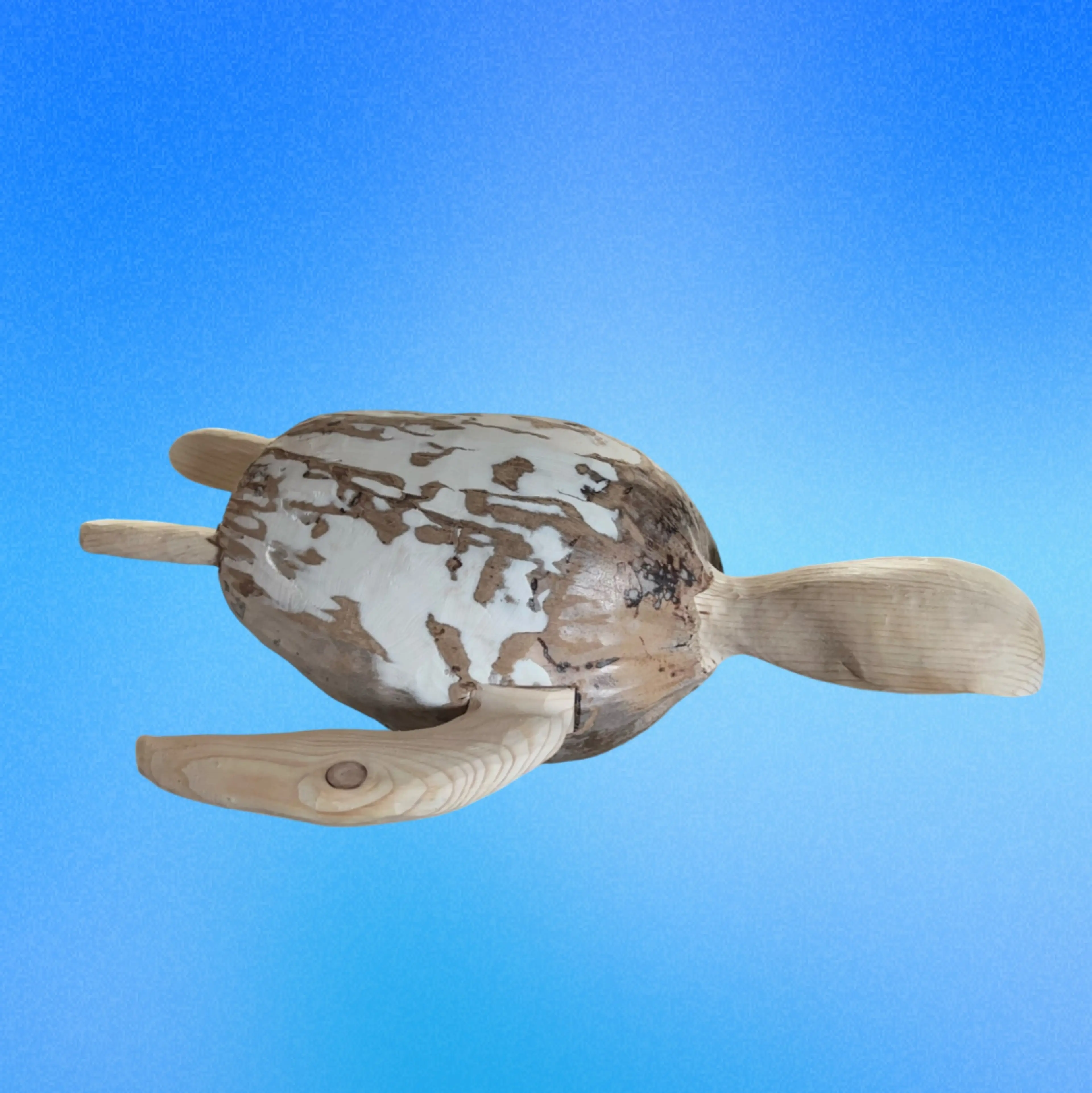 Image 2 of 5