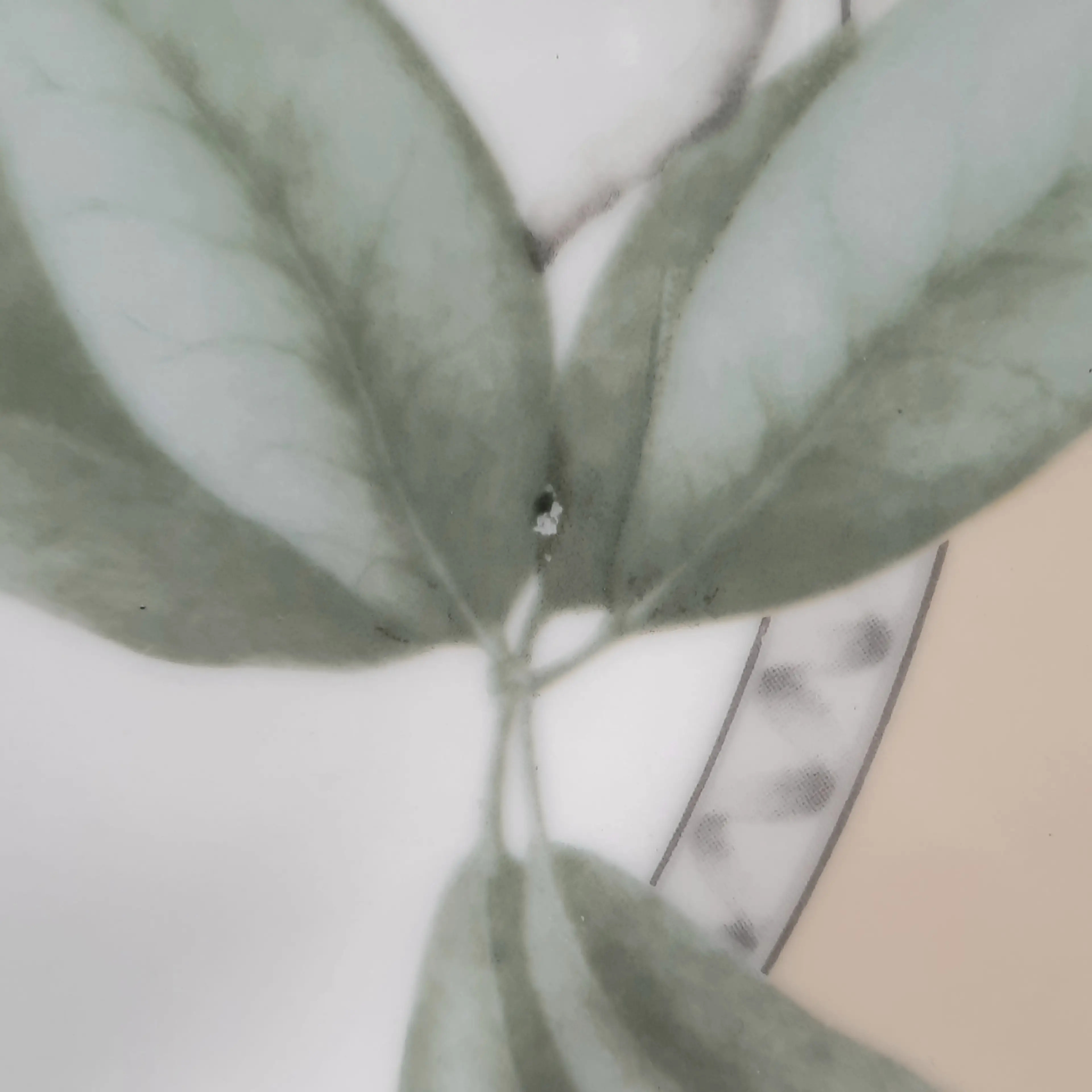 Image 4 of 5
