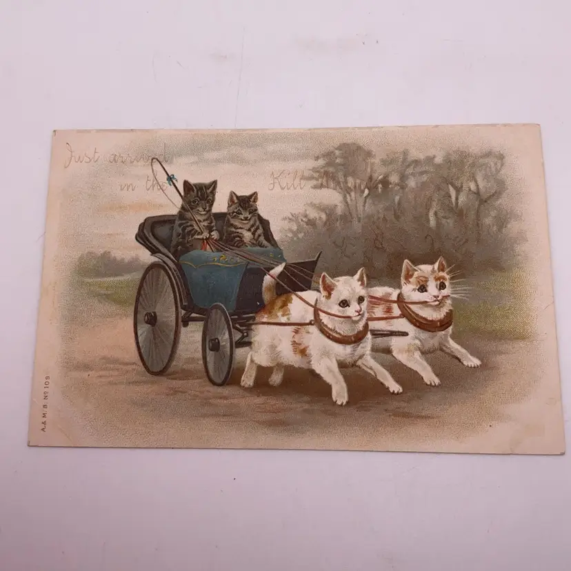 POW4 VTG Cat Kitten Carriage Postcard "Arrived"