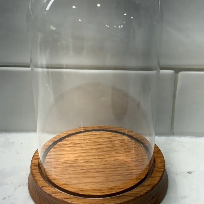 Clear Cloche Glass Dome Glass Bell Jar Display with Wooden Base Glass 7.5"