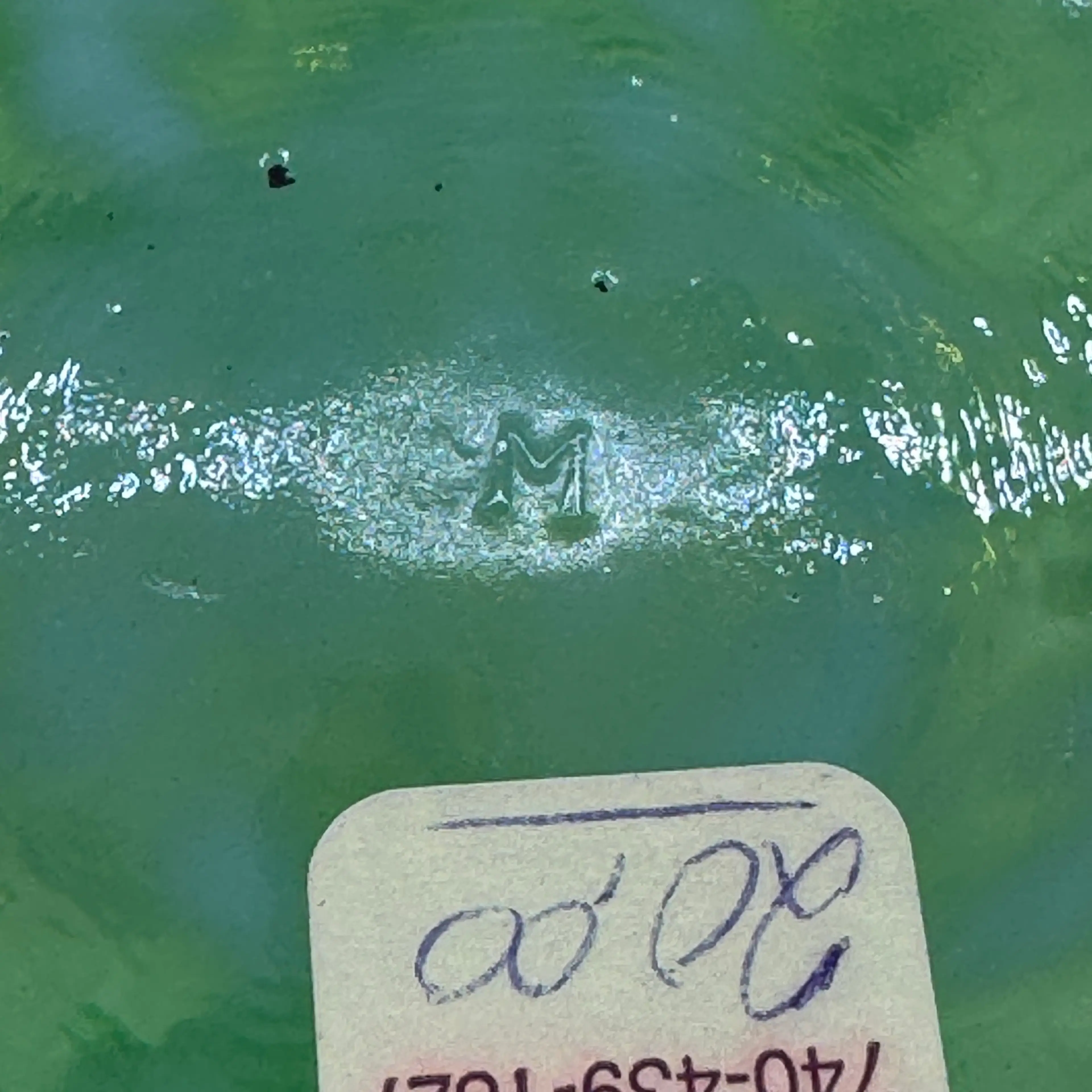 Image 5 of 8
