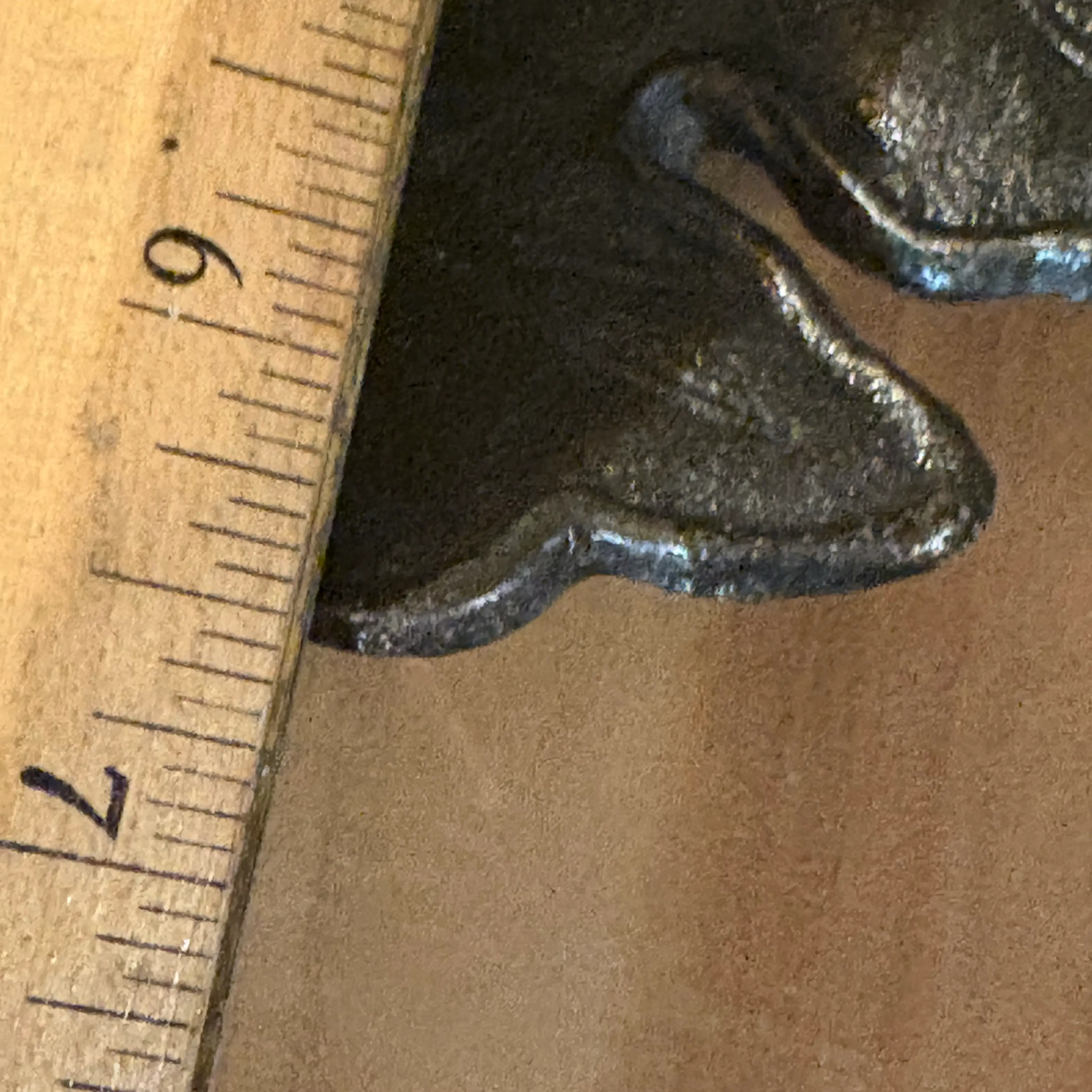 Image 5 of 5