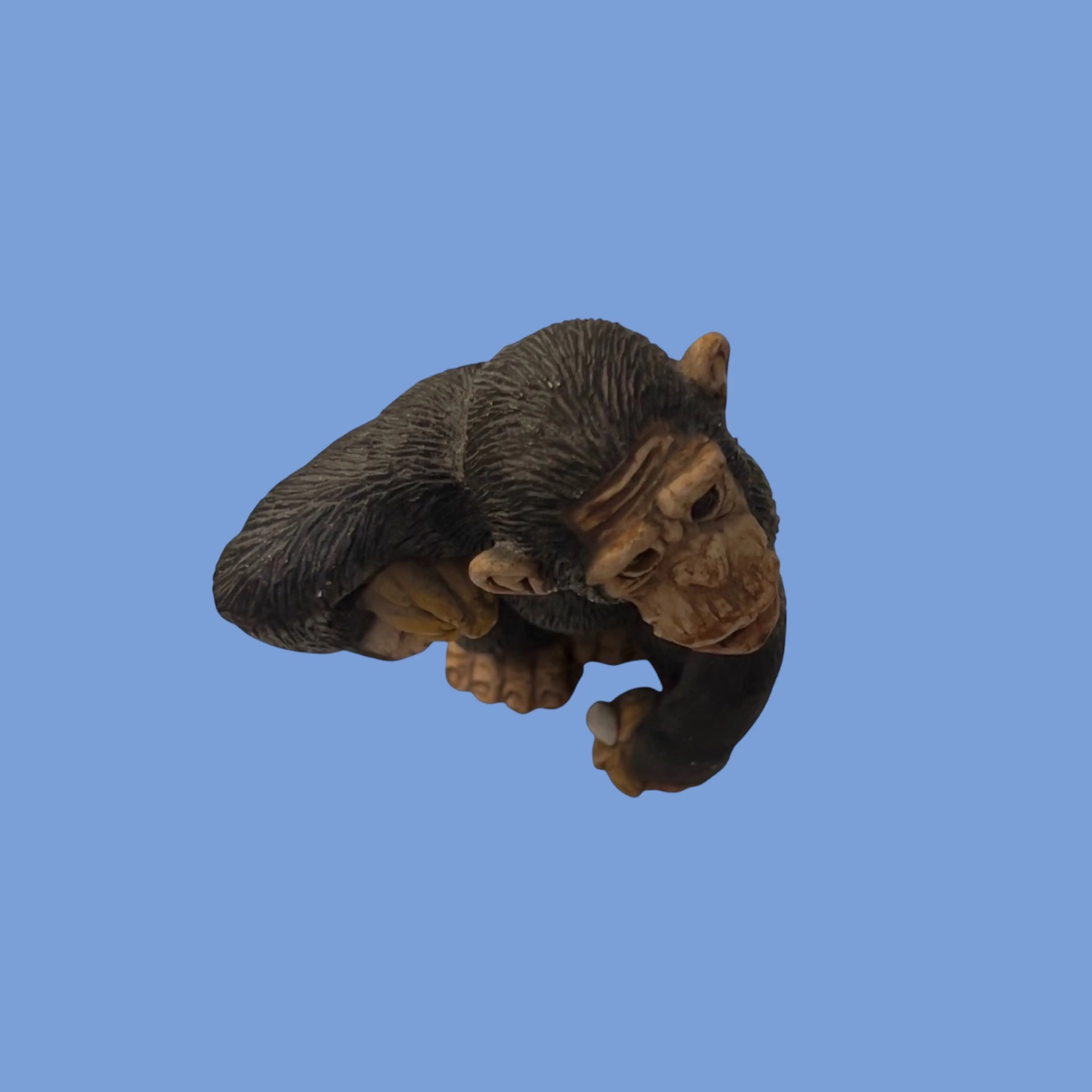 Image 5 of 10