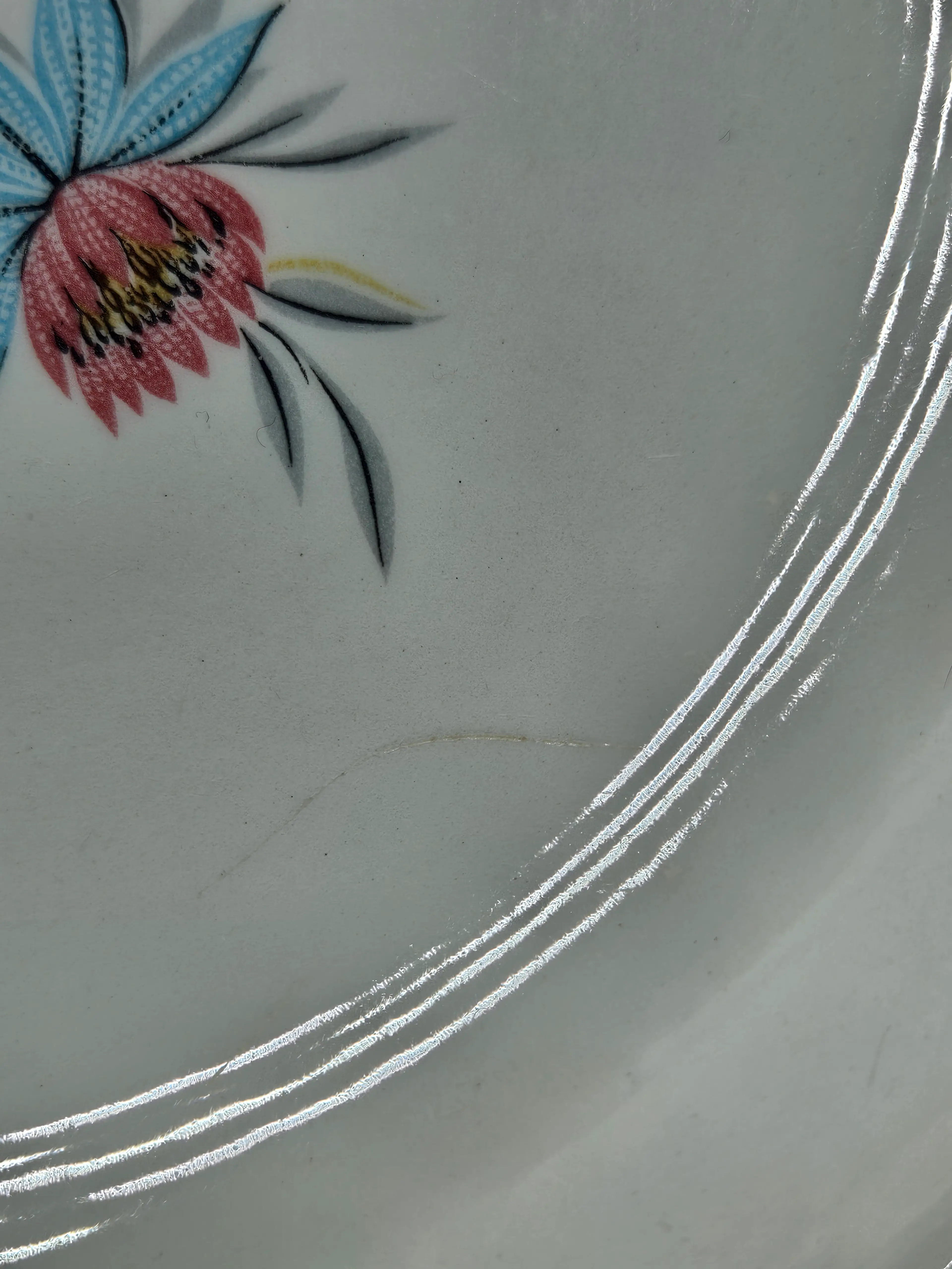Image 5 of 7