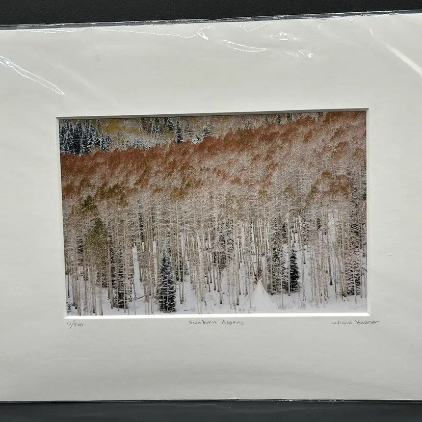 Sunburn Aspens" by photographer Willie Holdman, numbered 13/500