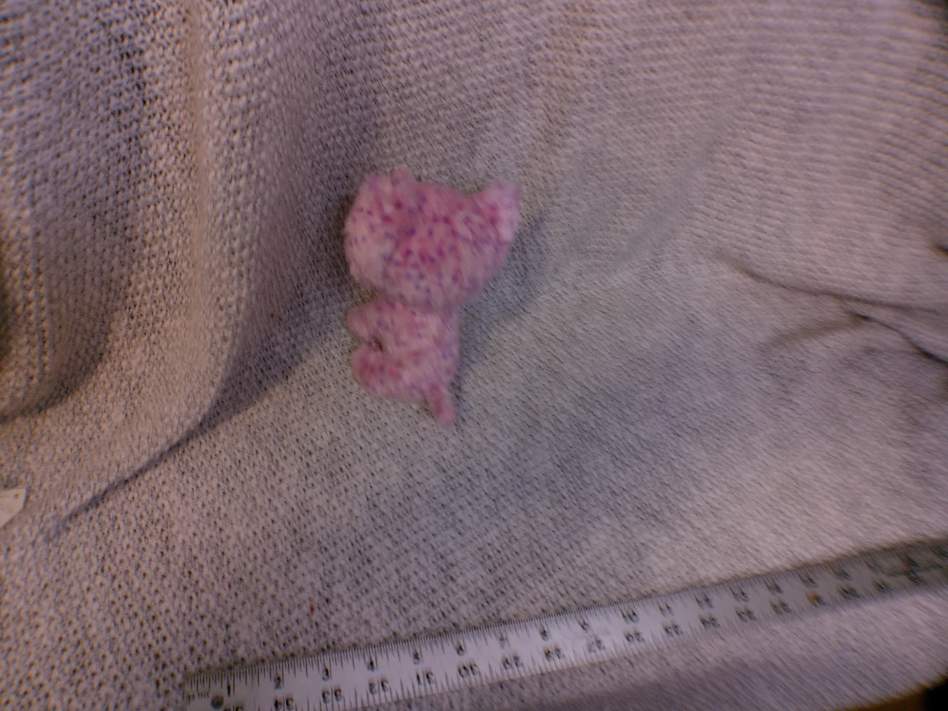 Image 2 of 2