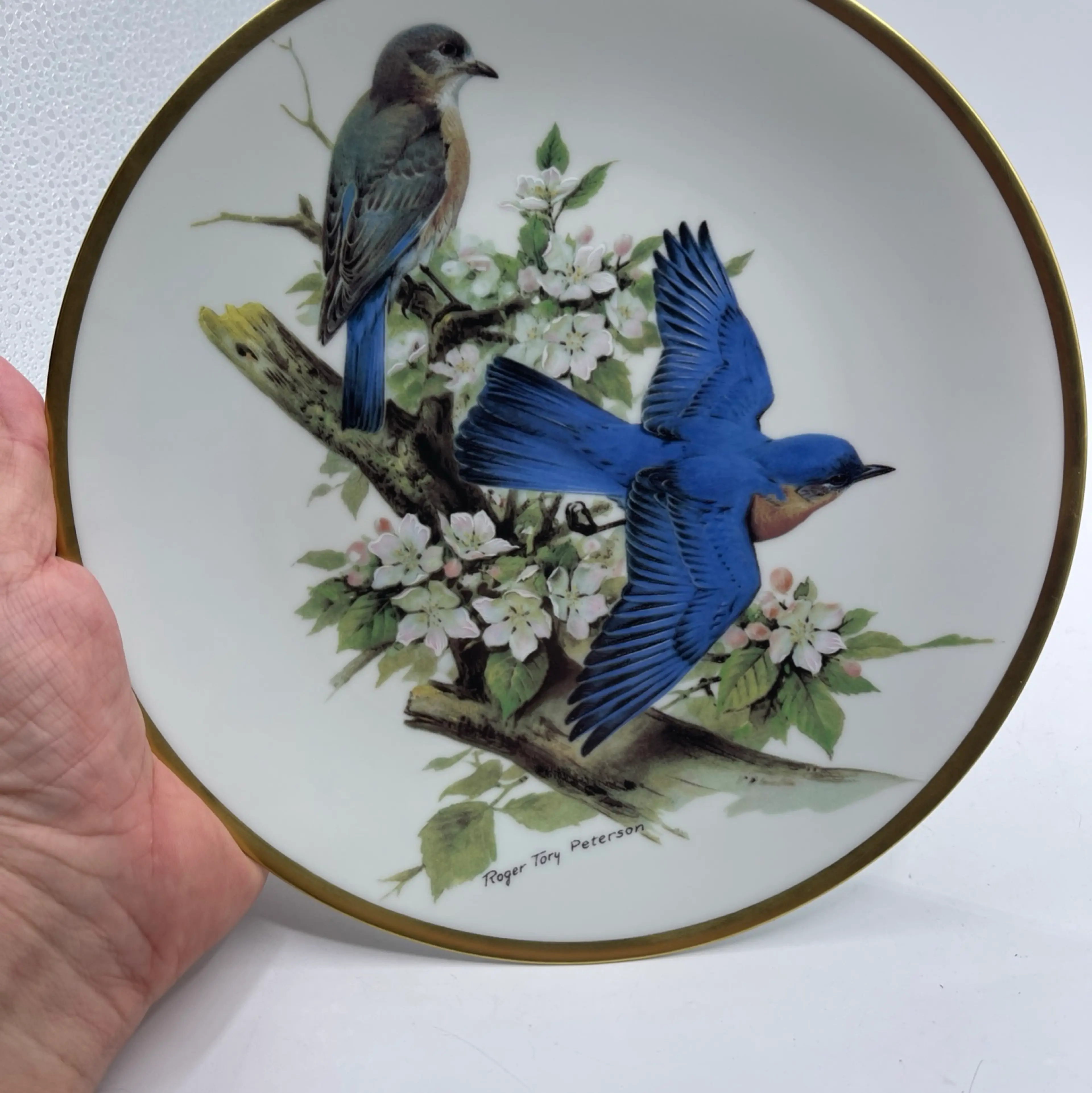 Image 2 of 6