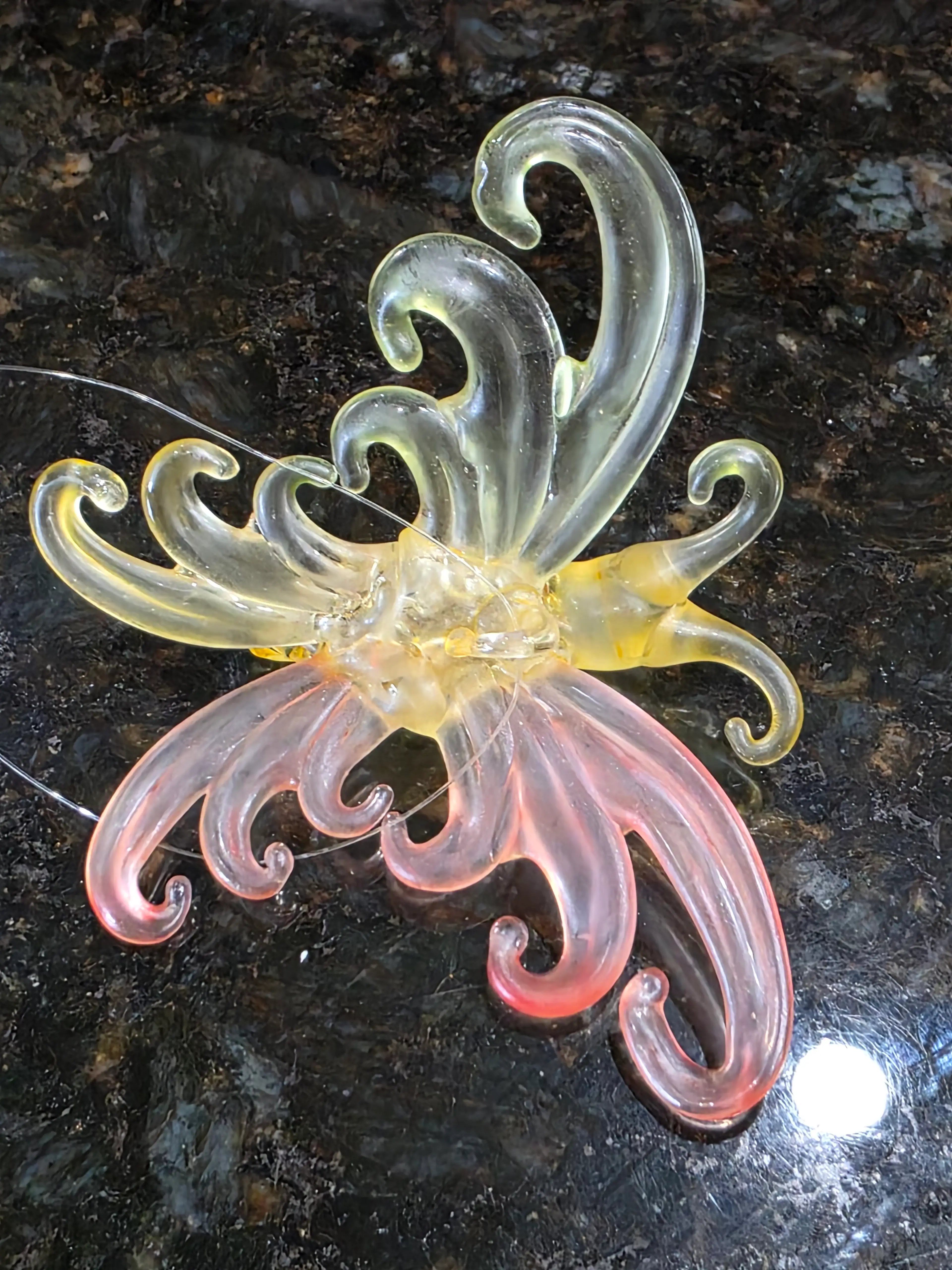 Image 4 of 4