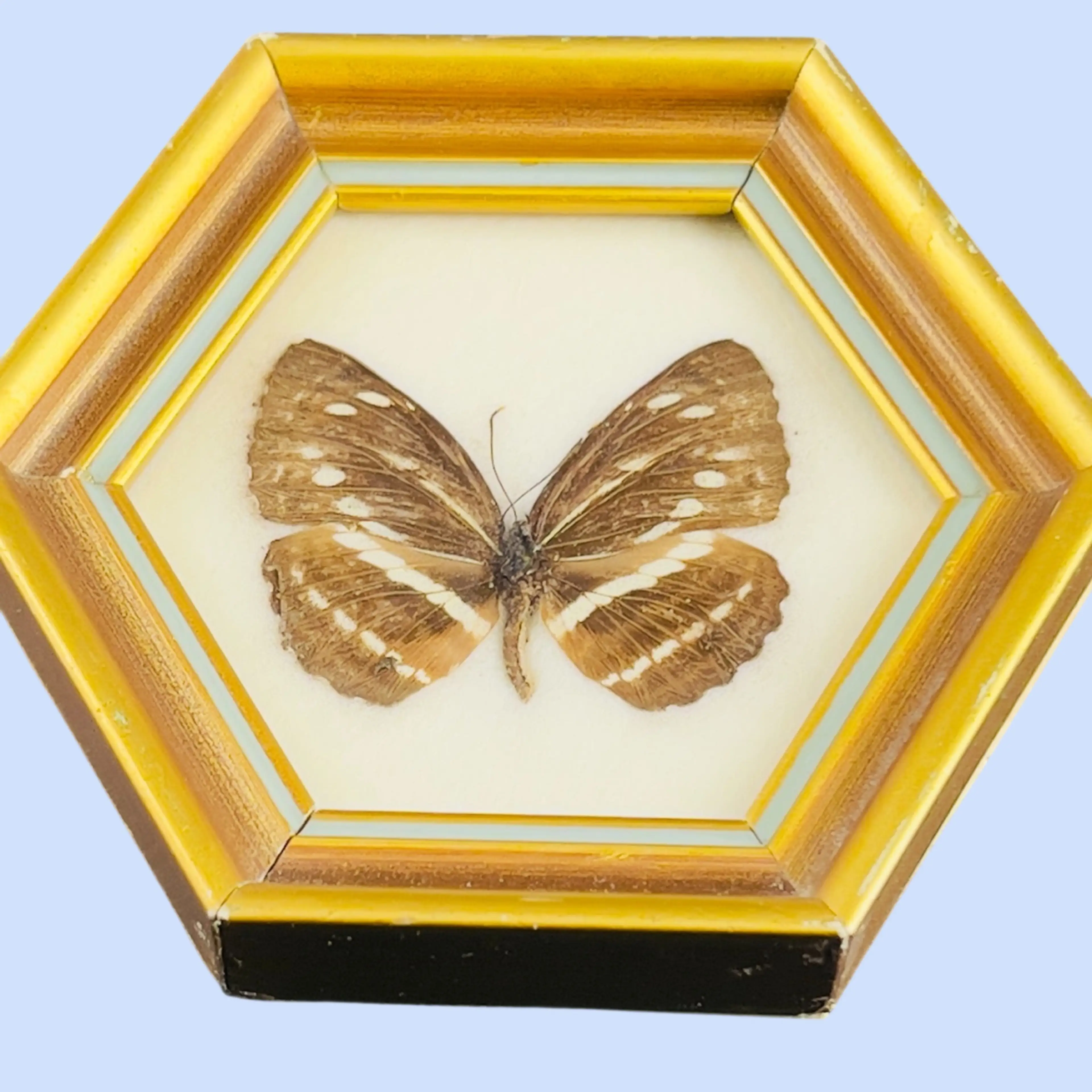 Image 3 of 7