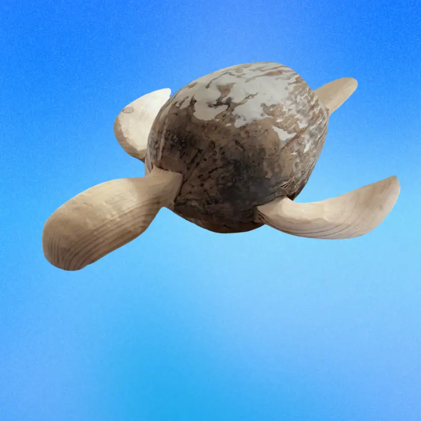 Sea Turtle From A Coconut- Made By Us