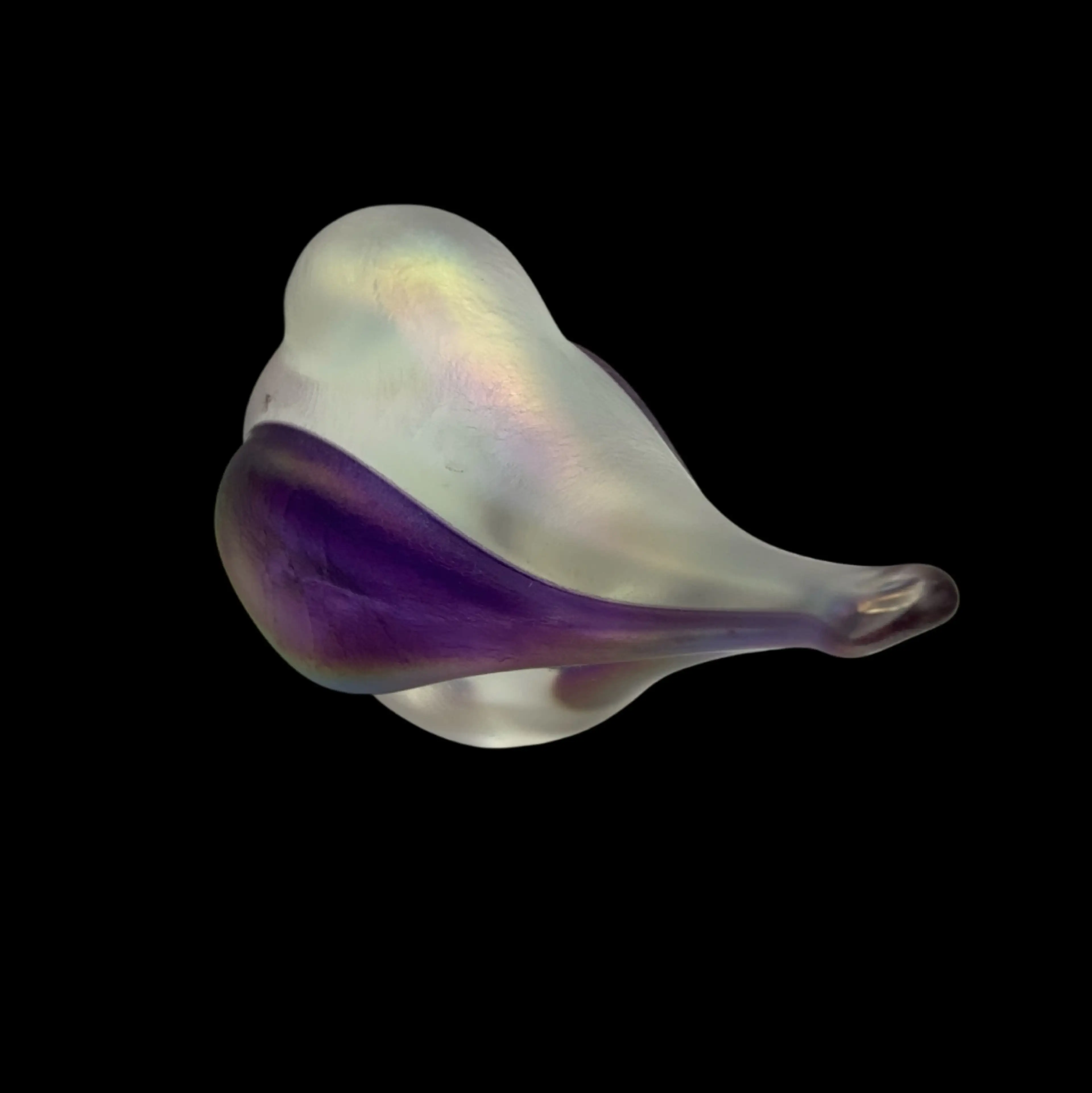 Image 2 of 5