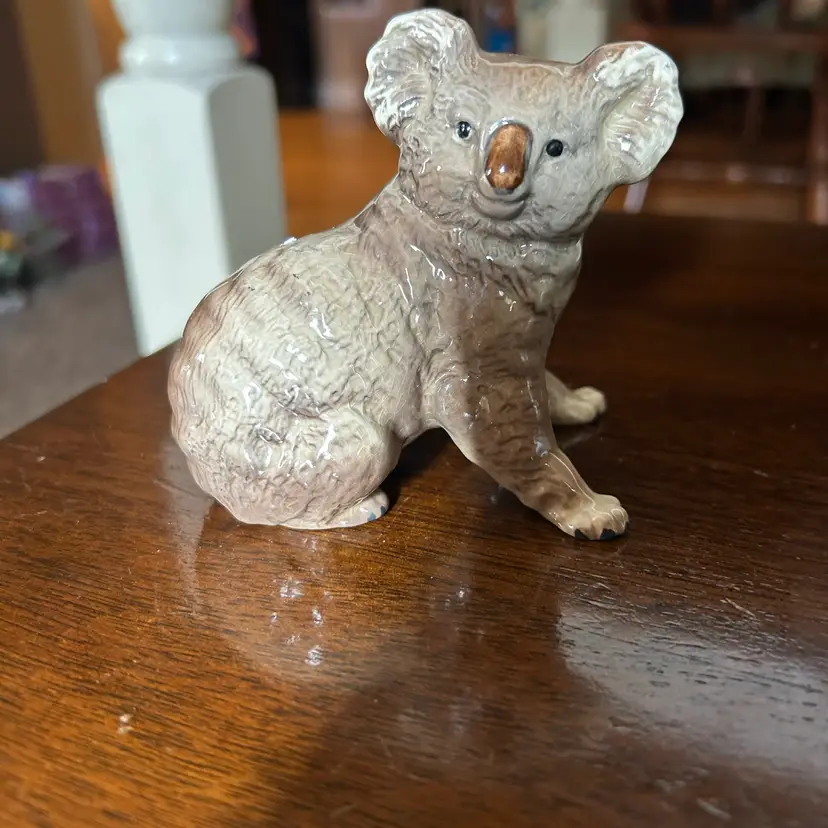 Amazing Koala