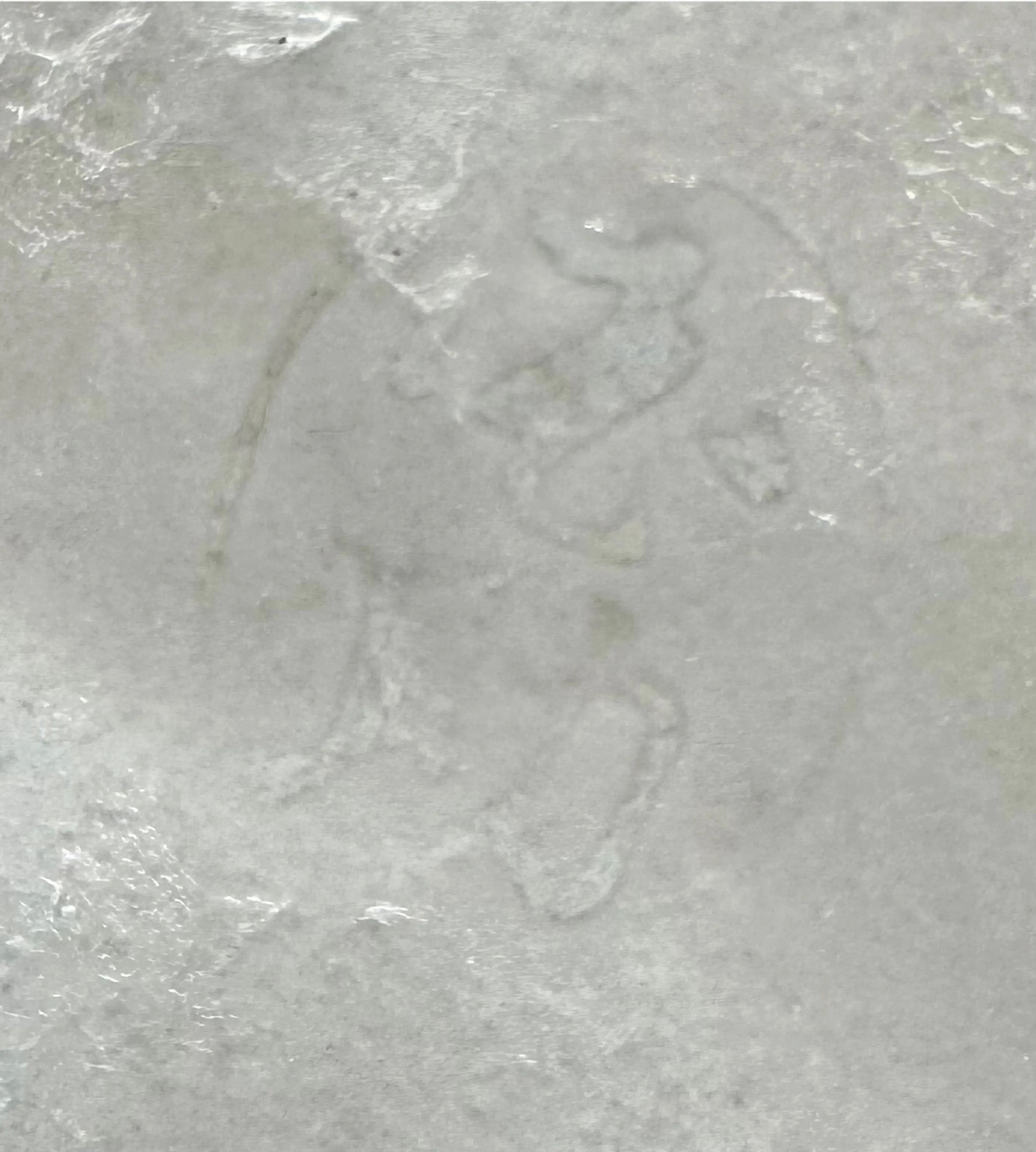 Image 3 of 4