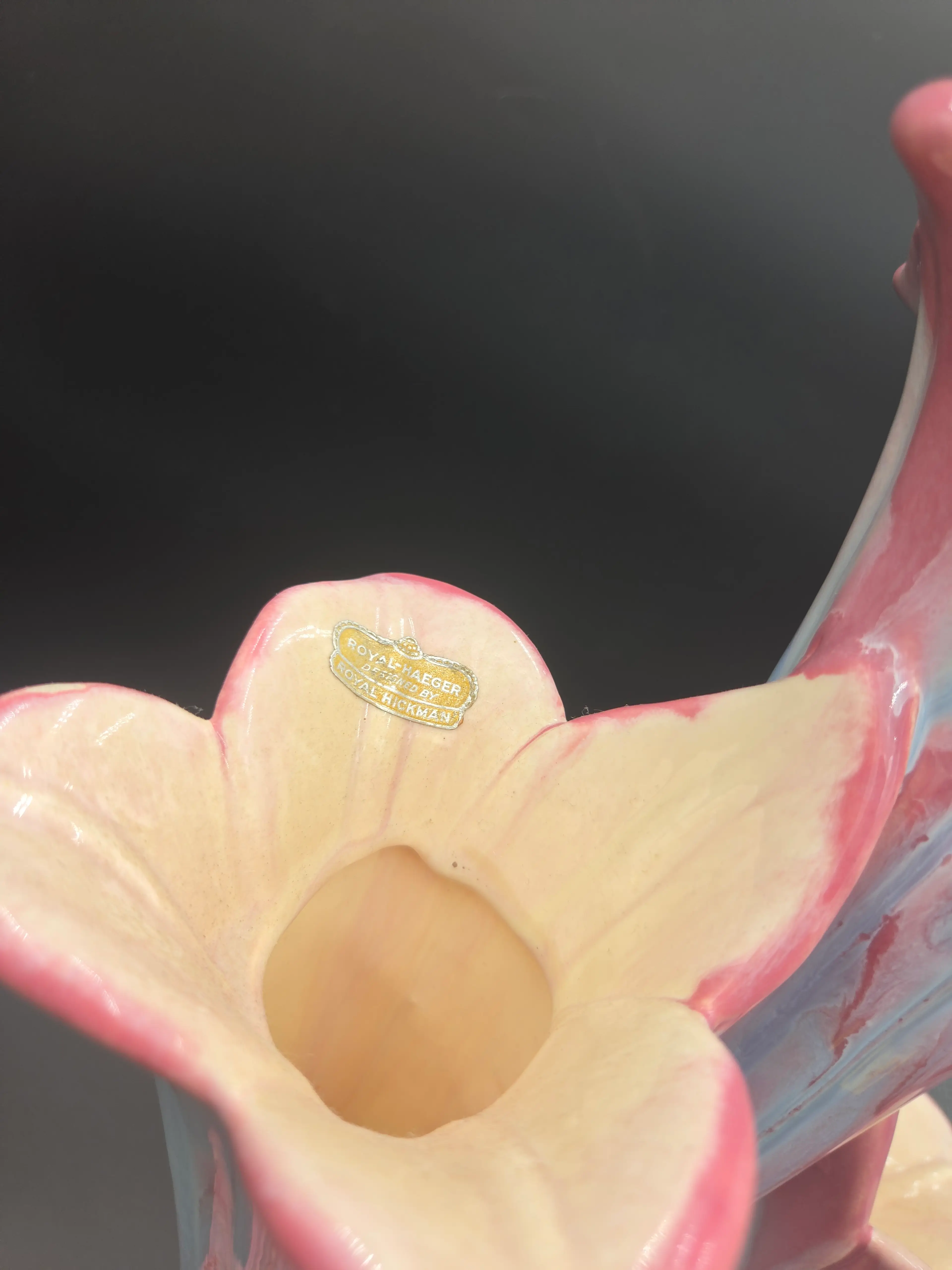 Image 2 of 8