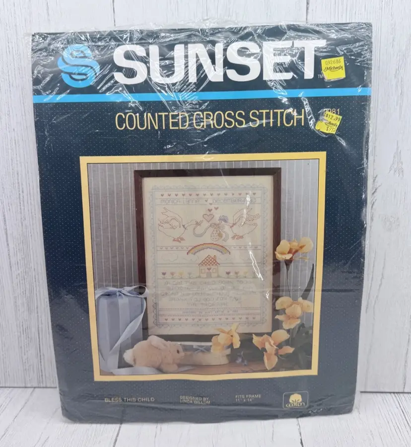 Sunset Counted Cross Stitch Birth Announcement 11 x 14 Bless This Child Vtg 1984