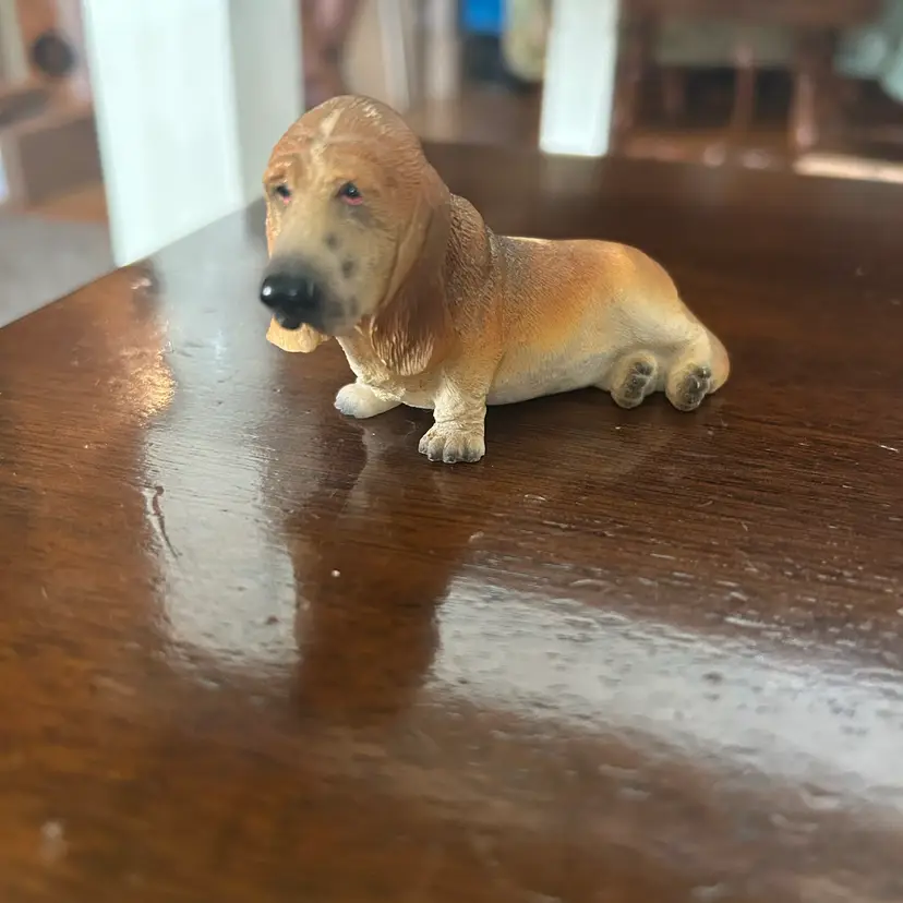 Cute Little Dog
