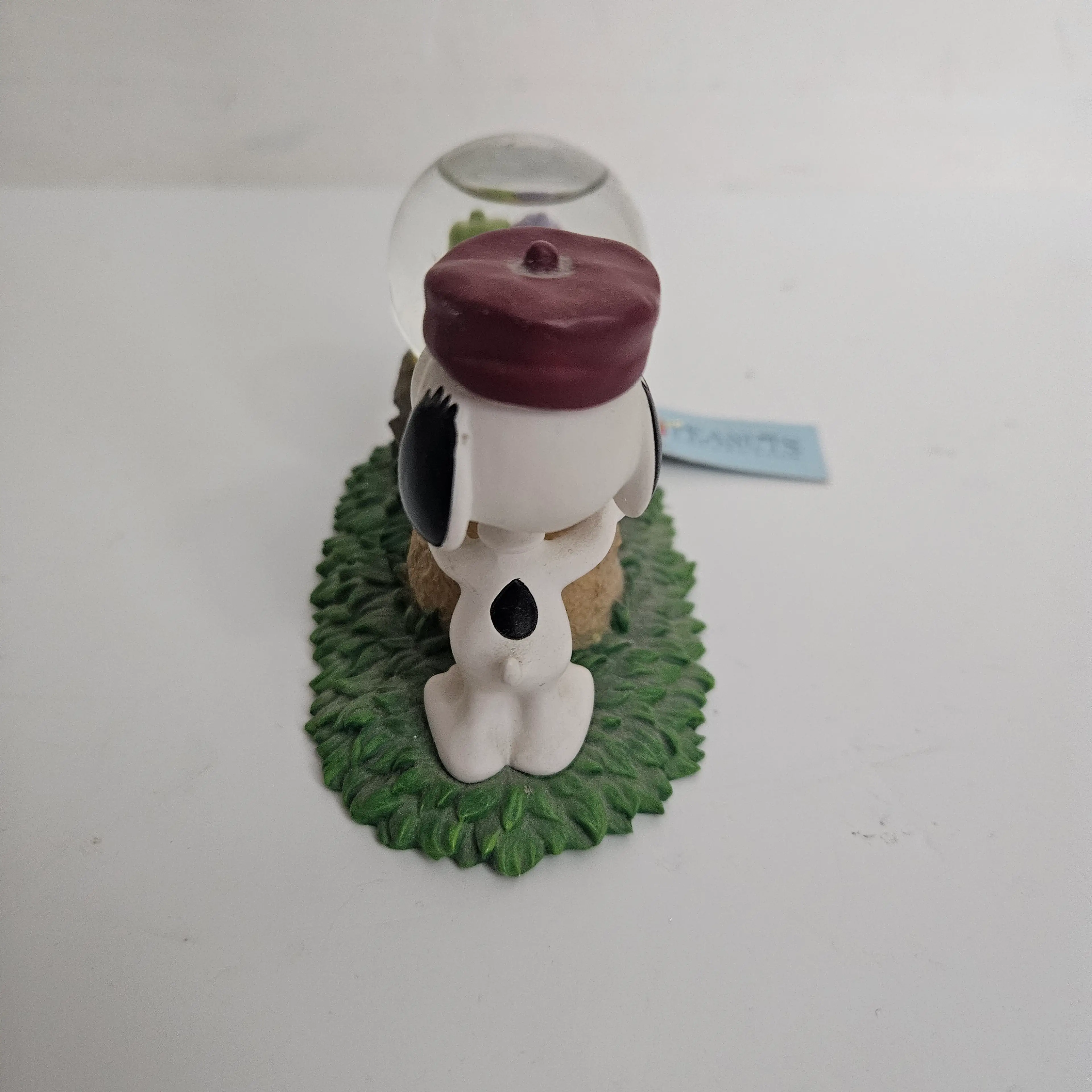 Image 3 of 7