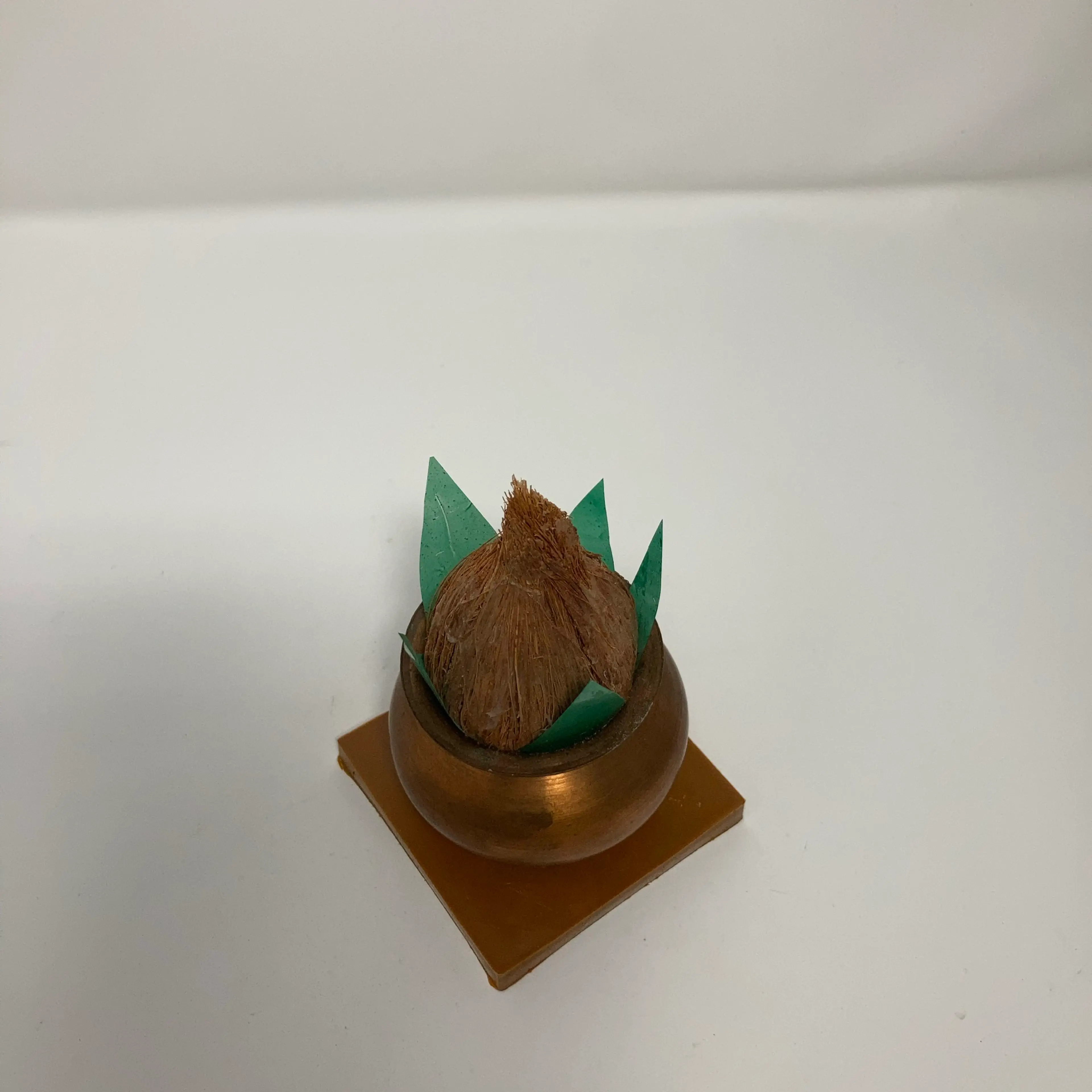 Image 5 of 10
