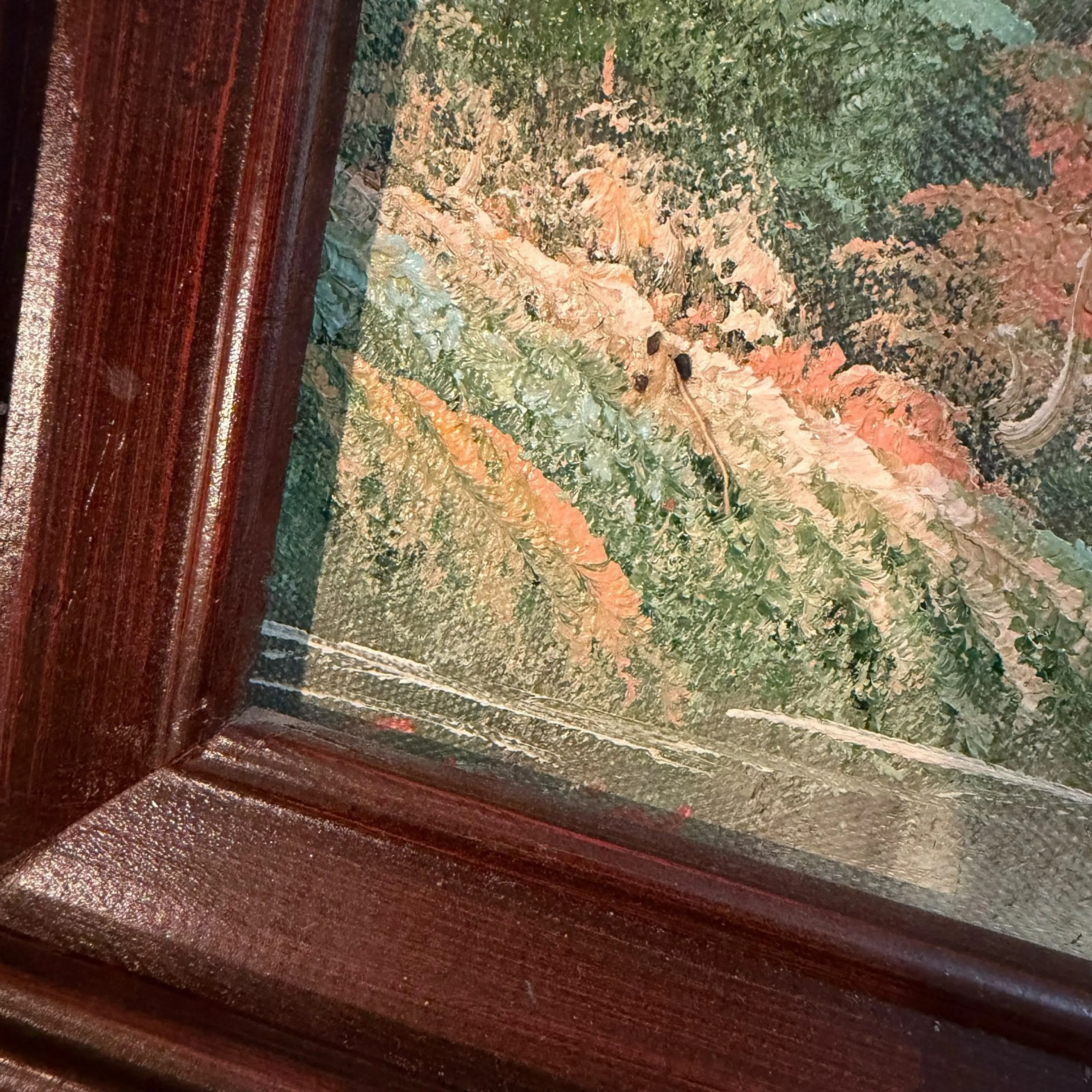 Image 5 of 6