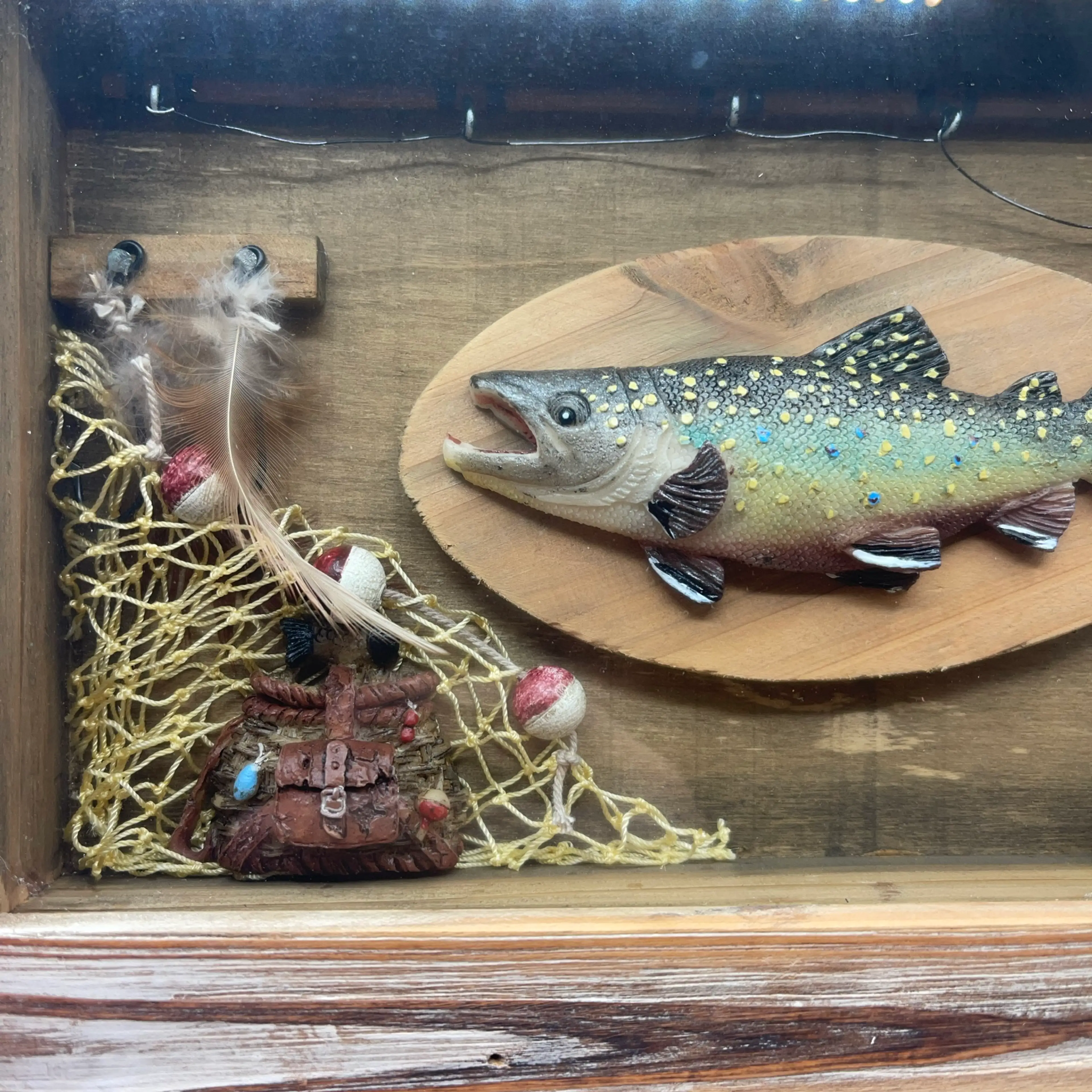 Image 2 of 5
