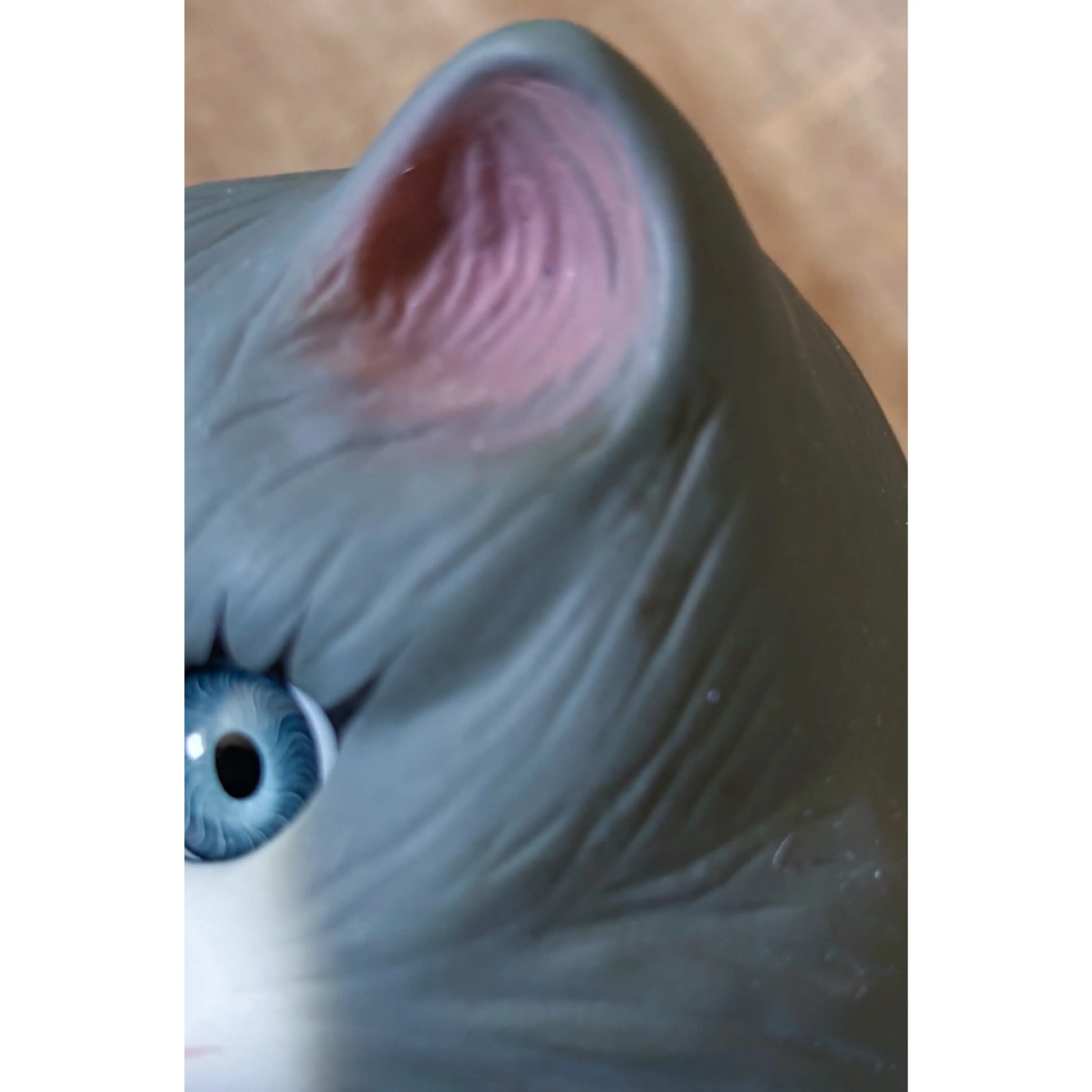 Image 3 of 13