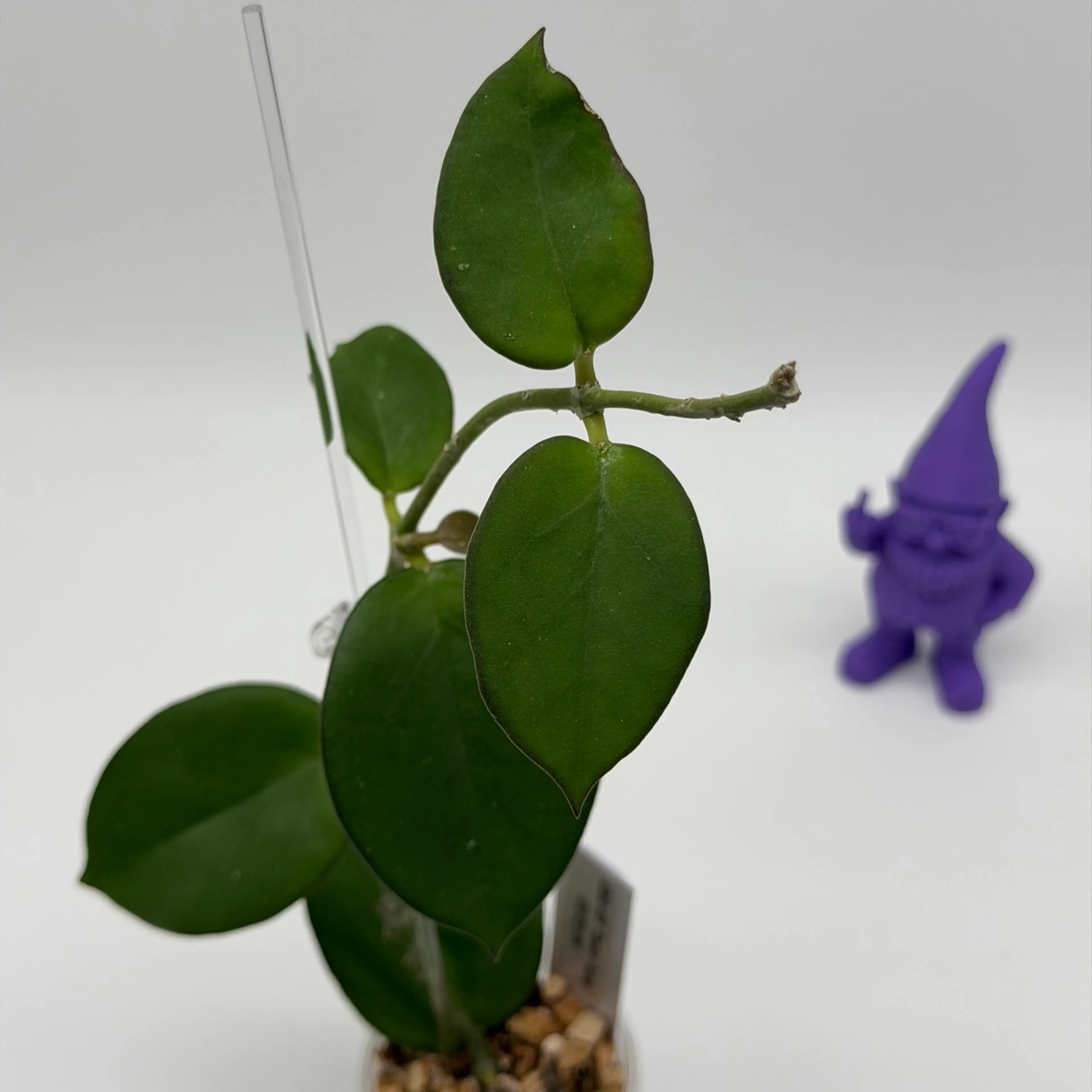 Image 2 of 3