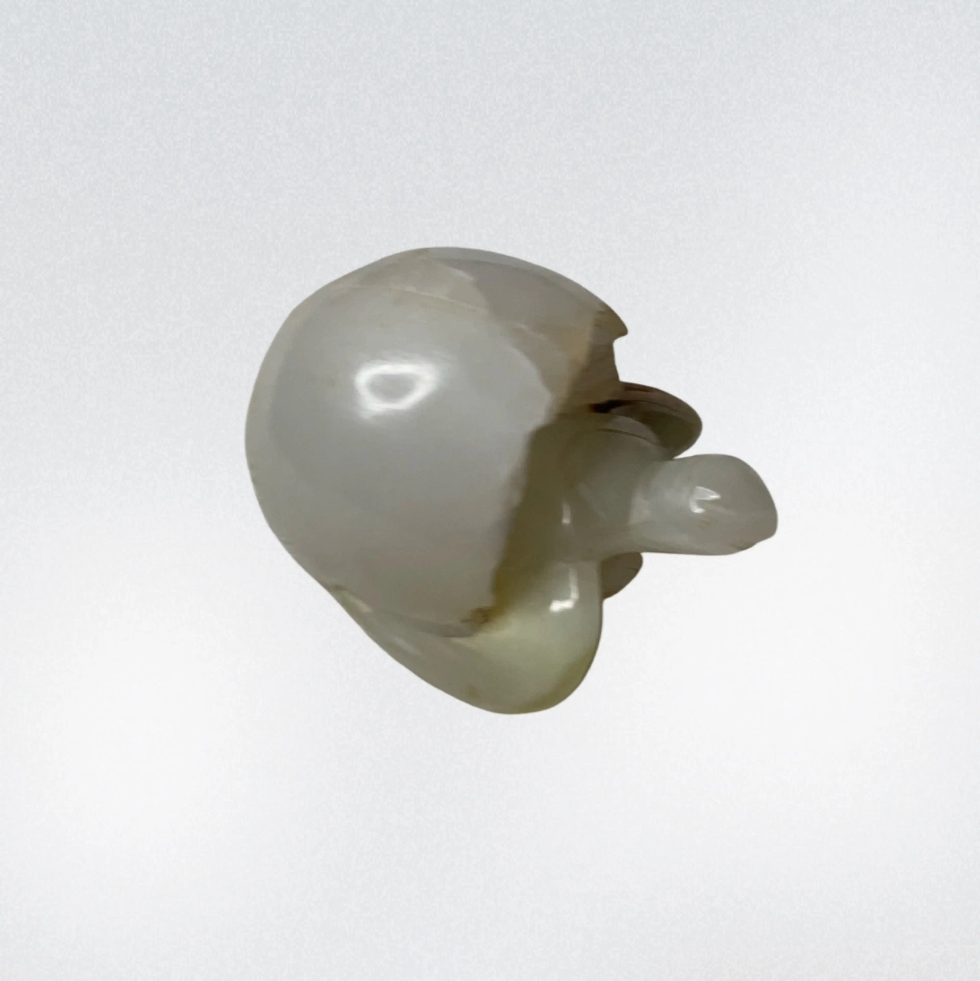 Image 4 of 6