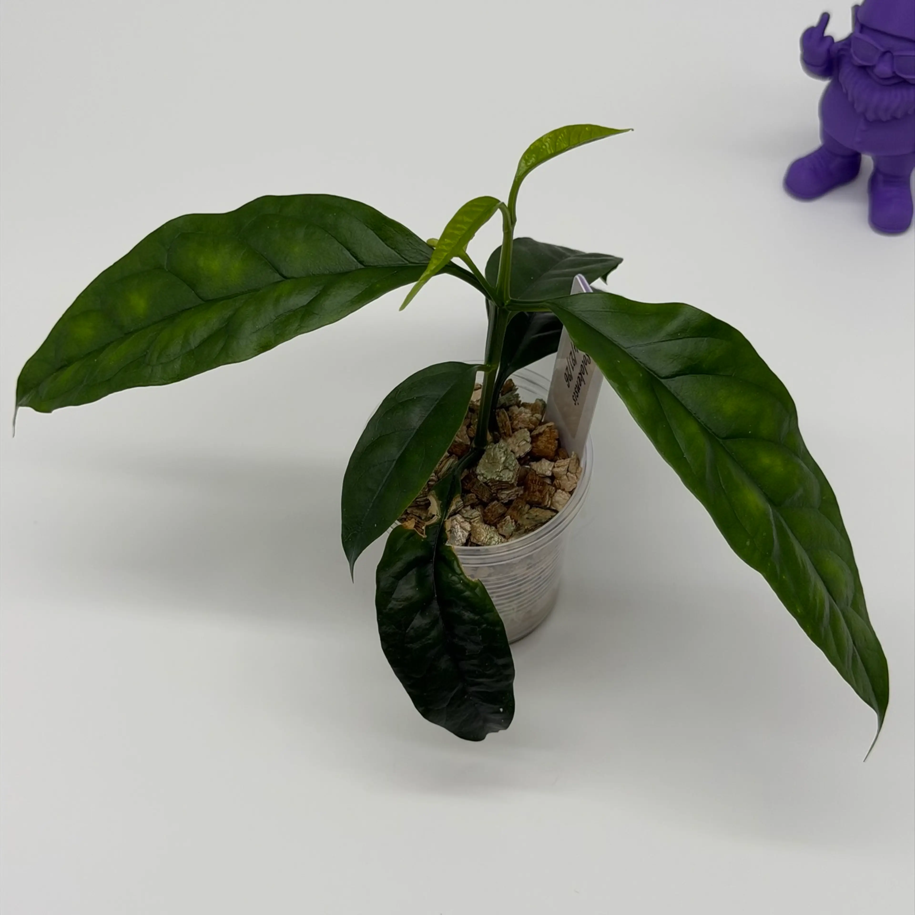 Image 4 of 4