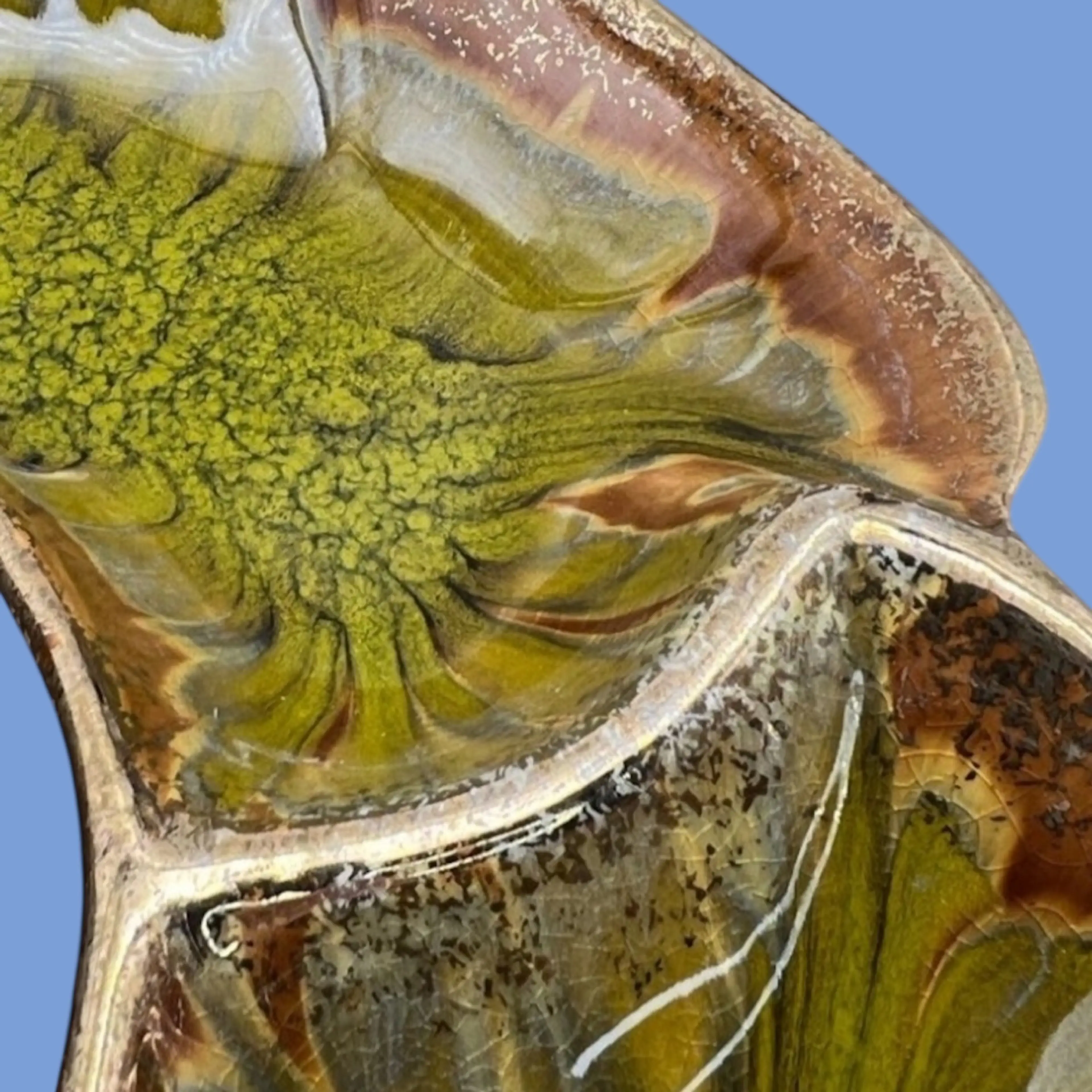 Image 5 of 9