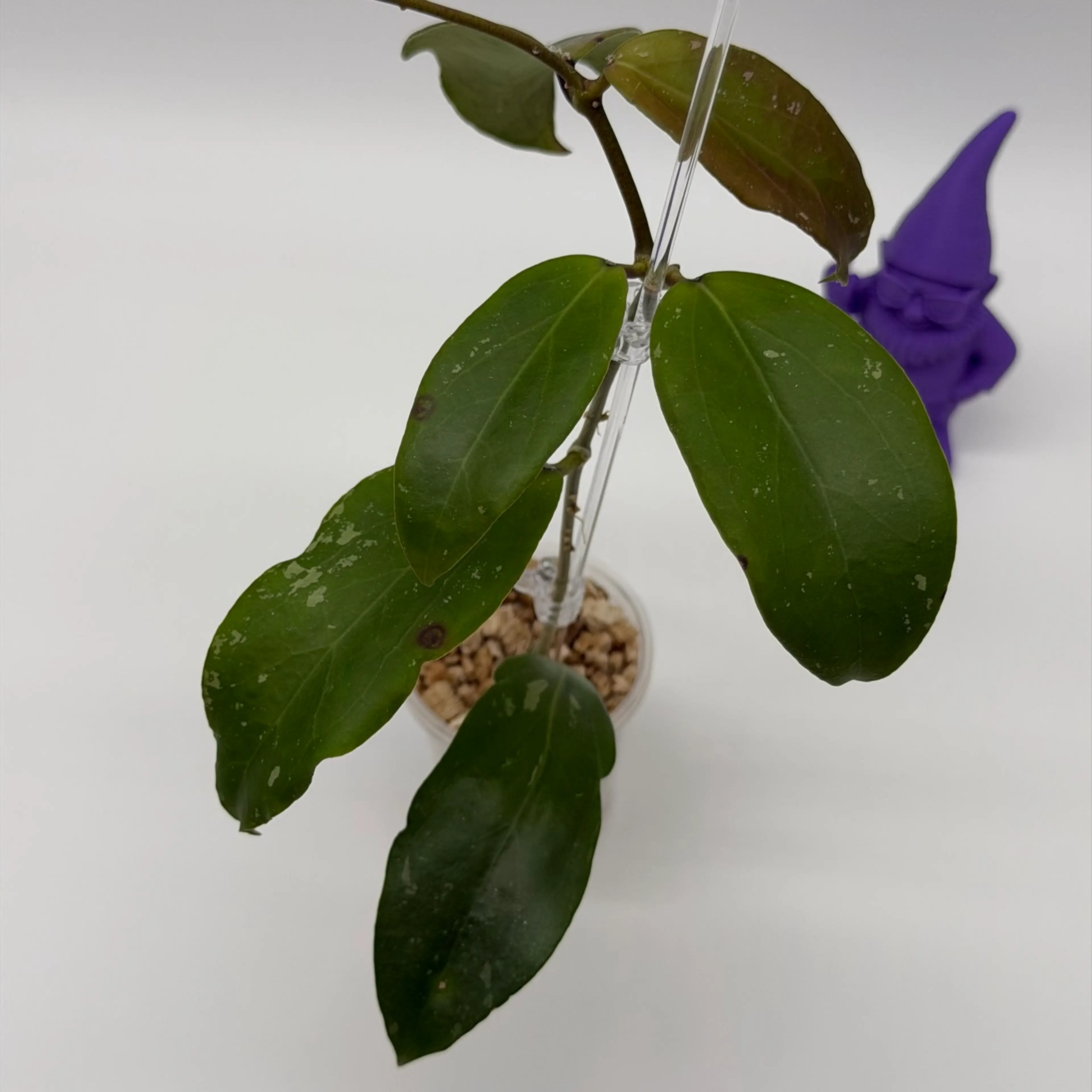 Image 3 of 4