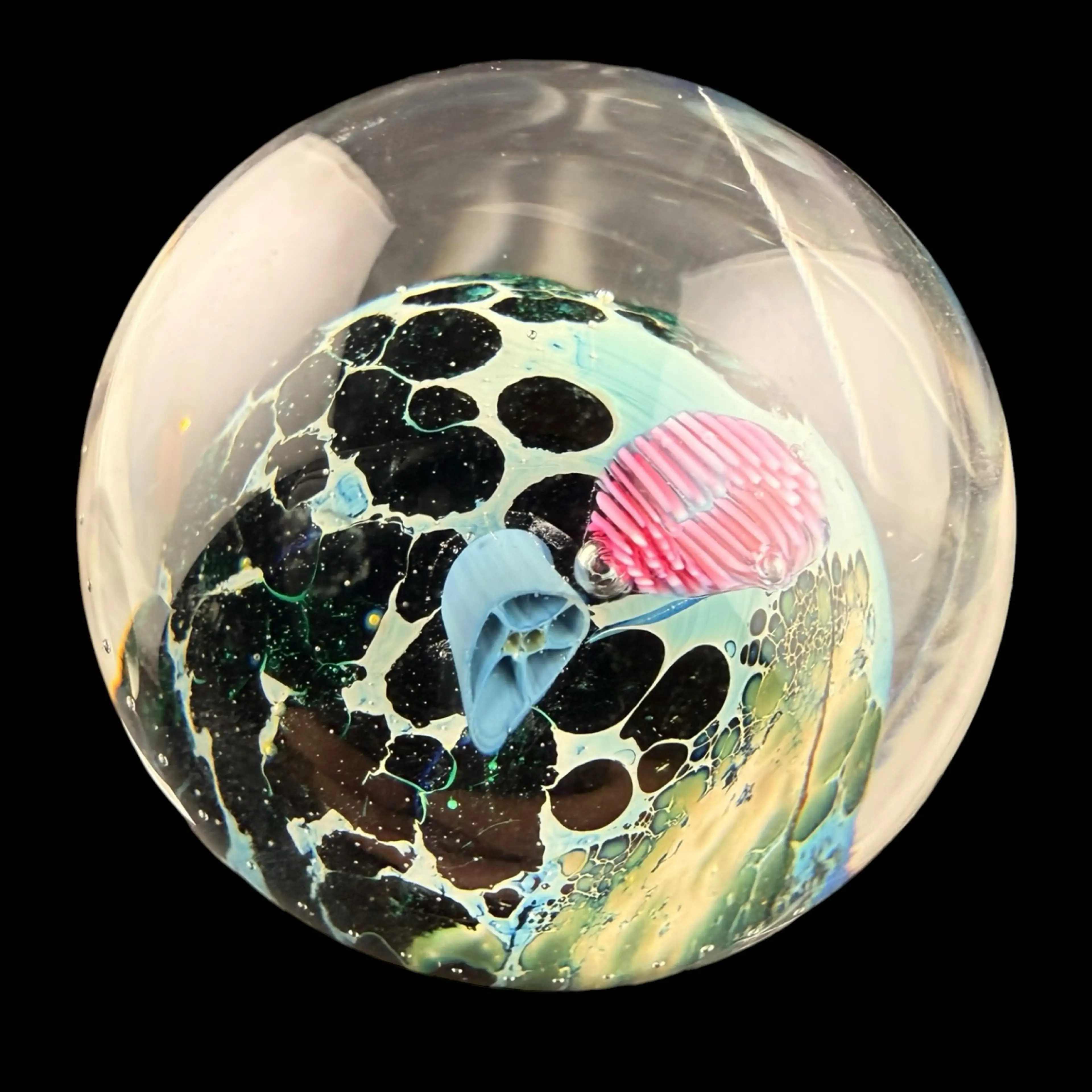 Image 3 of 6