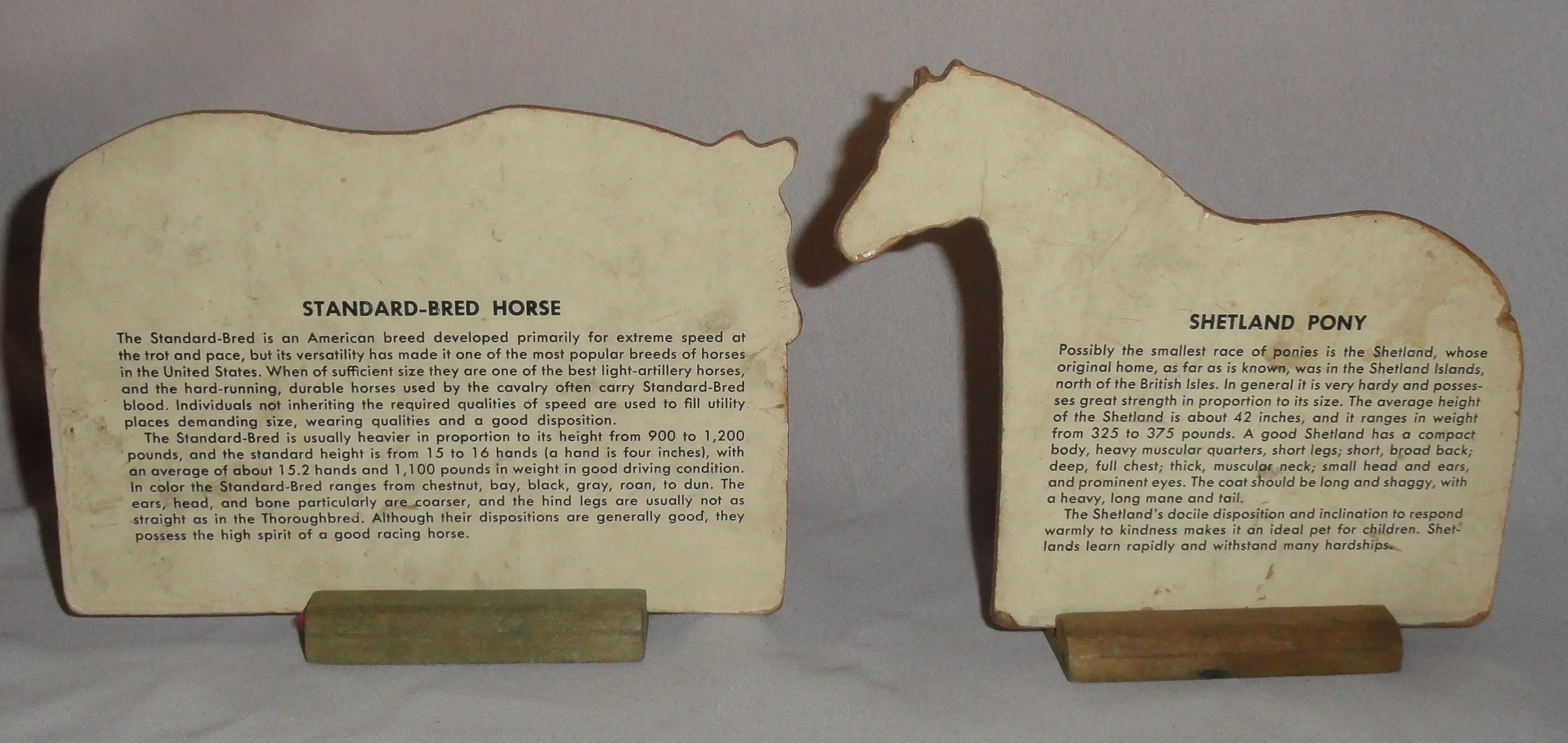 Image 4 of 10