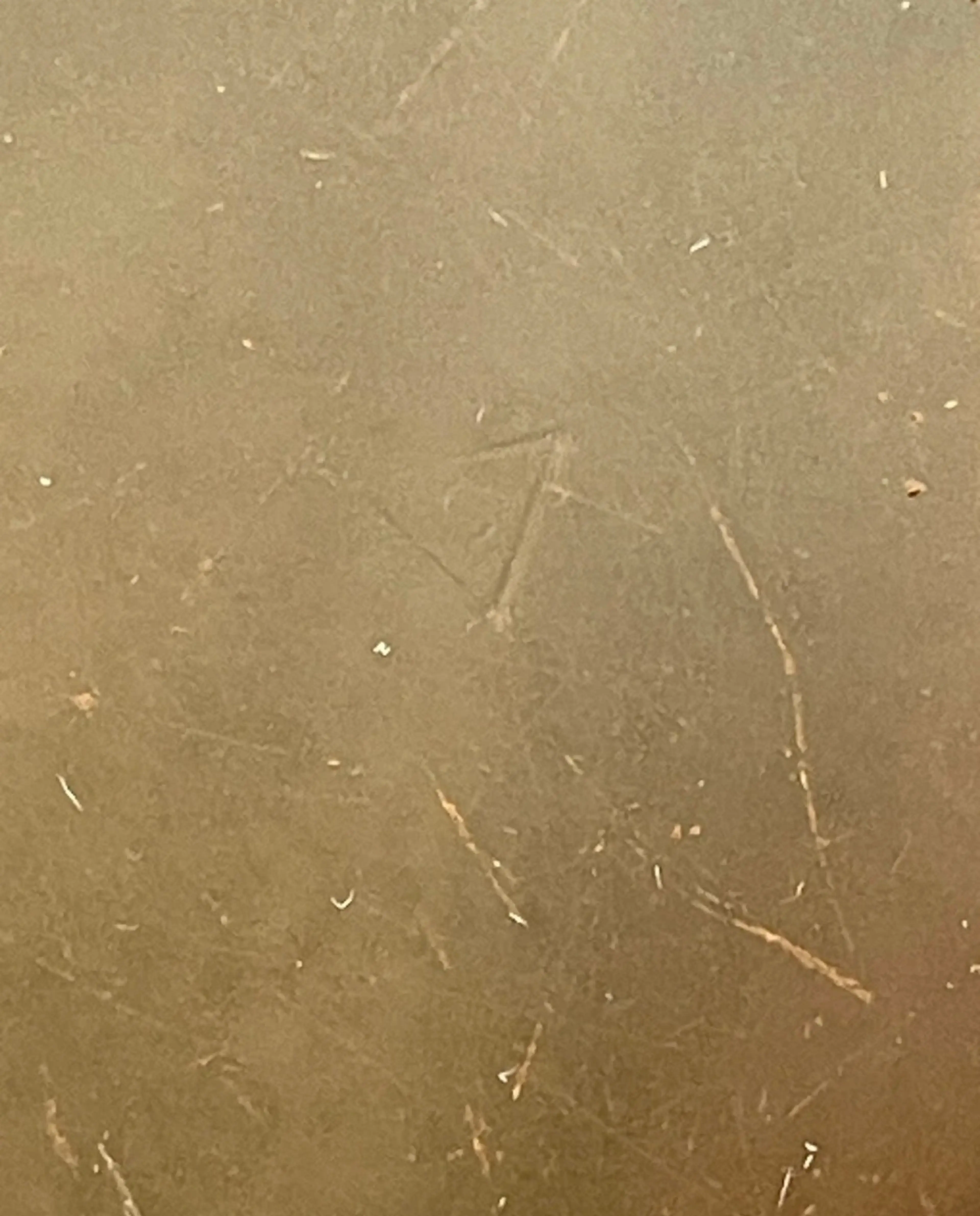 Image 5 of 6