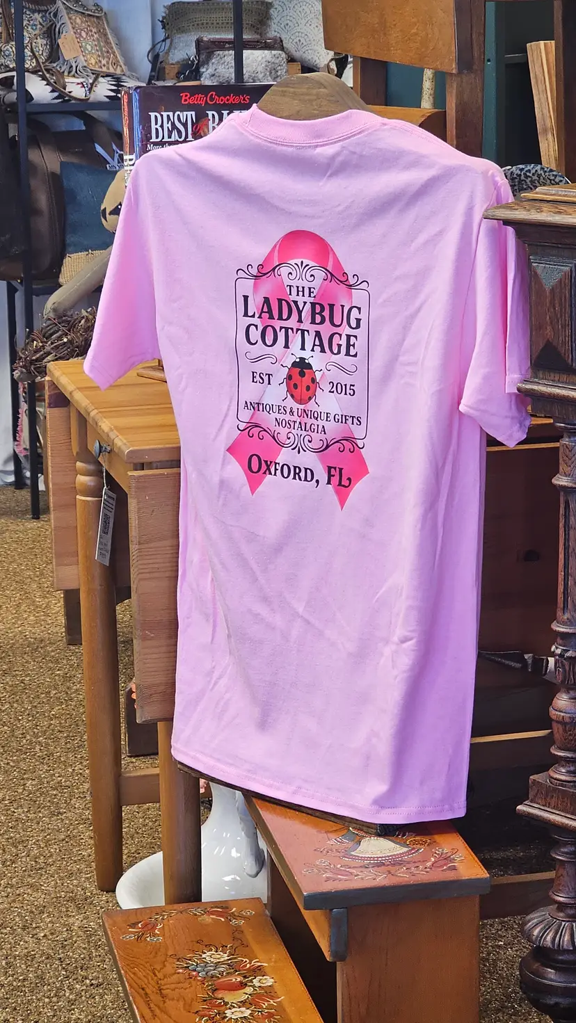 Breast Cancer Ribbon Ladybug Cottage Shirt XL